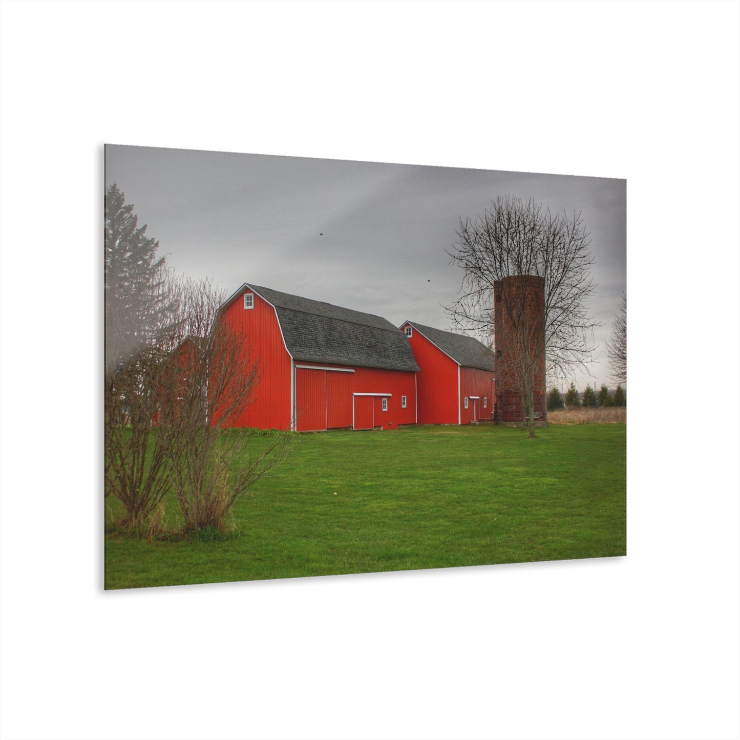 Barn Boutique Modern Farmhouse Acrylic Wall Print| Hough Road Reds III