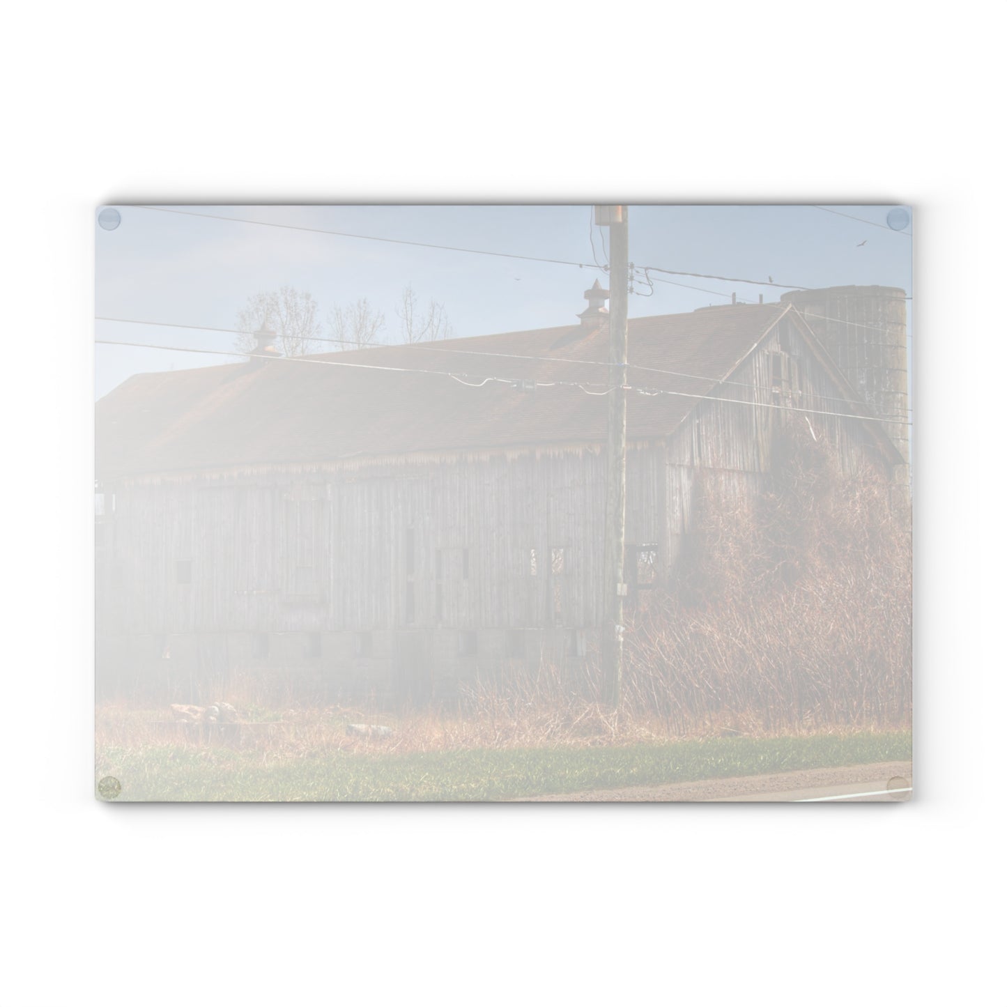 U R There Photography Metamora M-24 Grey III Rustic Farmhouse Tempered-Glass Cutting Board