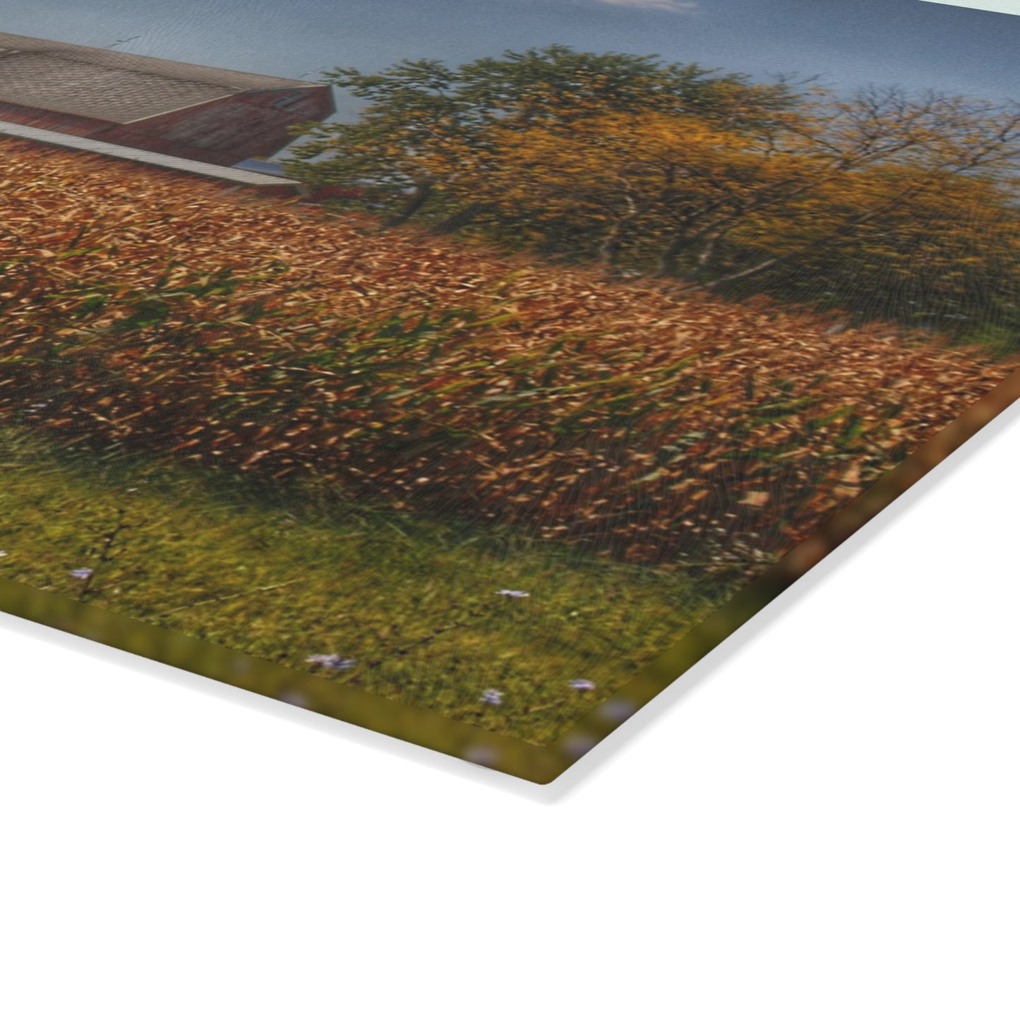 U R There Photography Clifford Road Red III Rustic Farmhouse Tempered-Glass Cutting Board