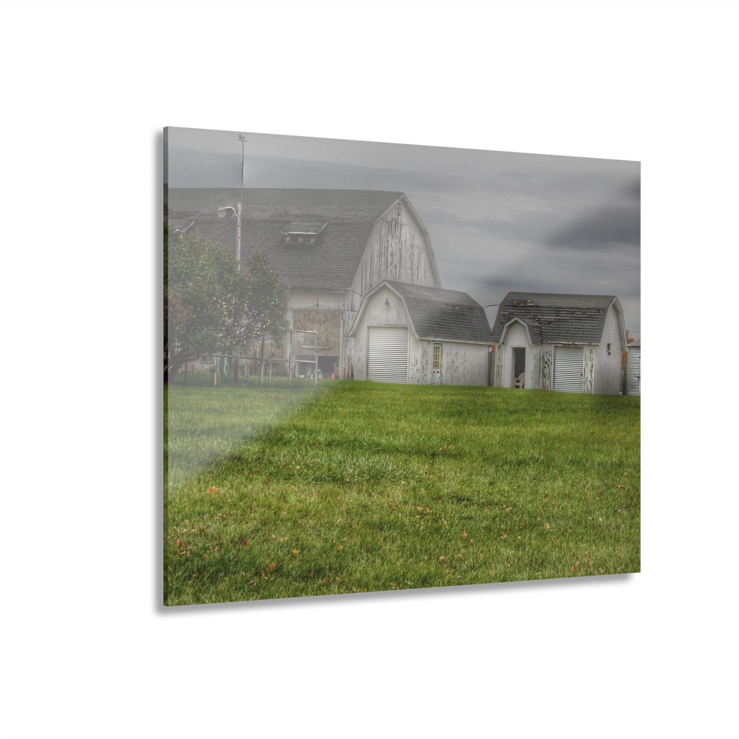 U R There Photography Lippincott Whites Rustic Farmhouse Acrylic Wall Print
