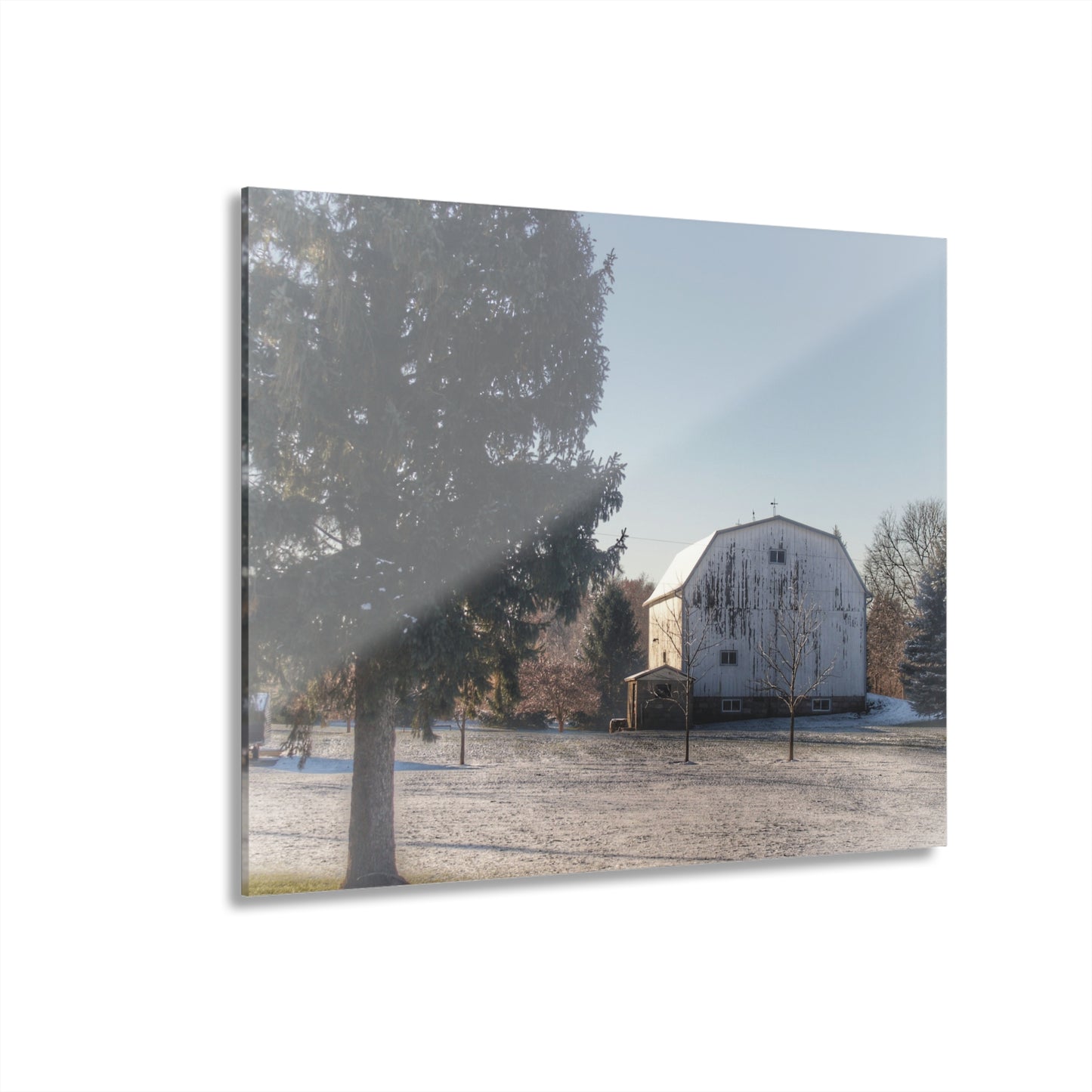 U R There Photography Washburn White Rustic Farmhouse Acrylic Wall Print