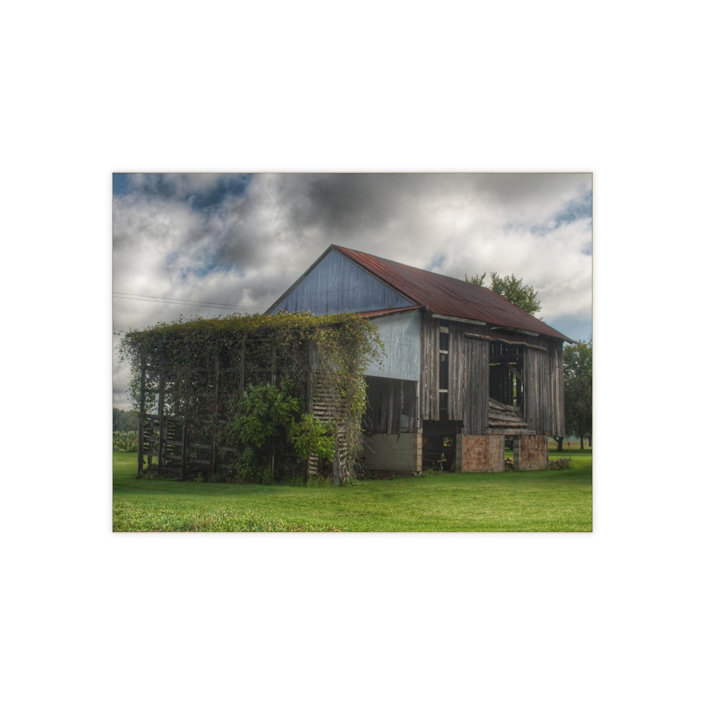 Barn Boutique Rustic Ceramic Wall Tile| Pergola Barn