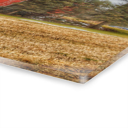 U R There Photography Laur Road Red Among the Pines I Rustic Farmhouse Acrylic Wall Print