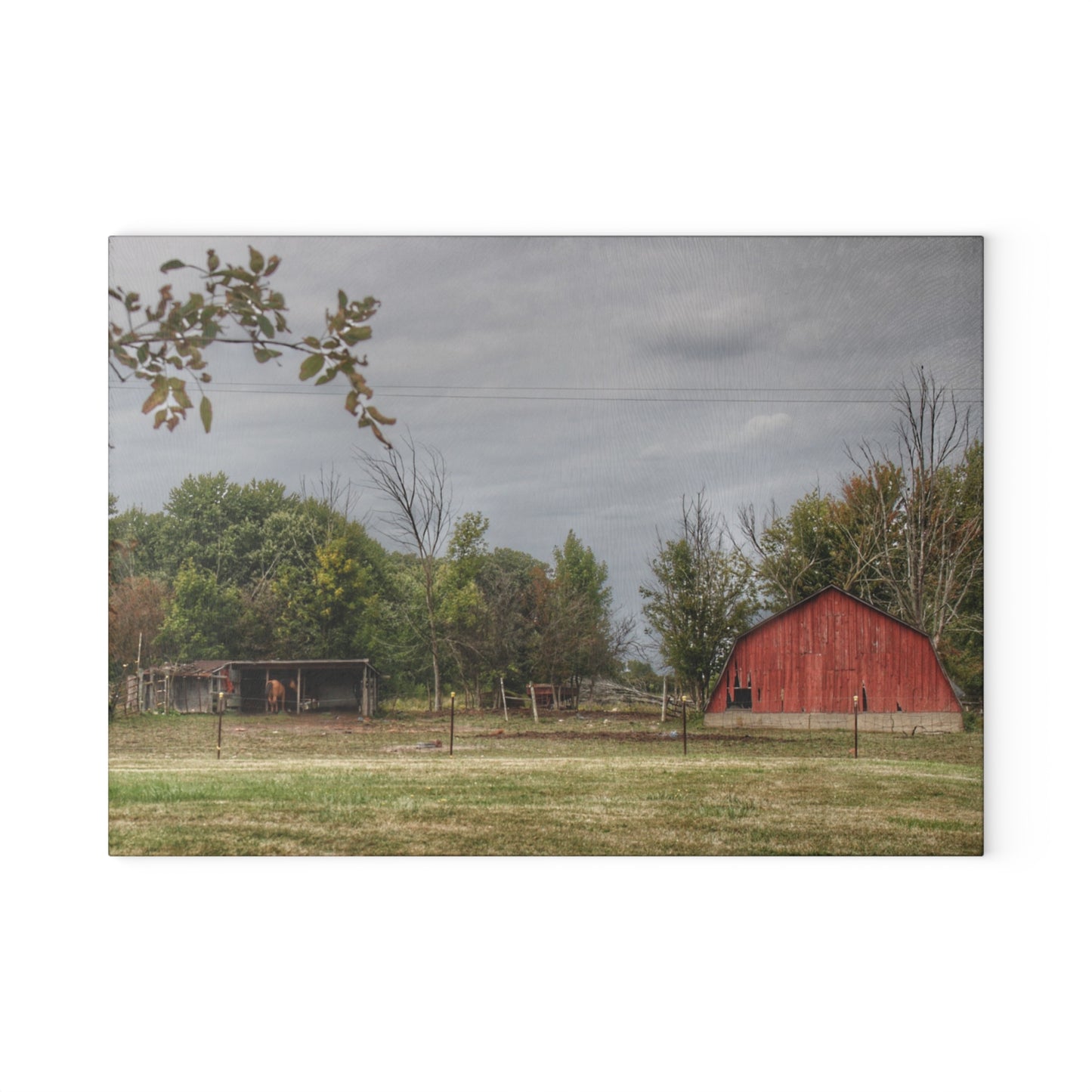 U R There Photography Petz Road Farm Rustic Farmhouse Tempered-Glass Cutting Board