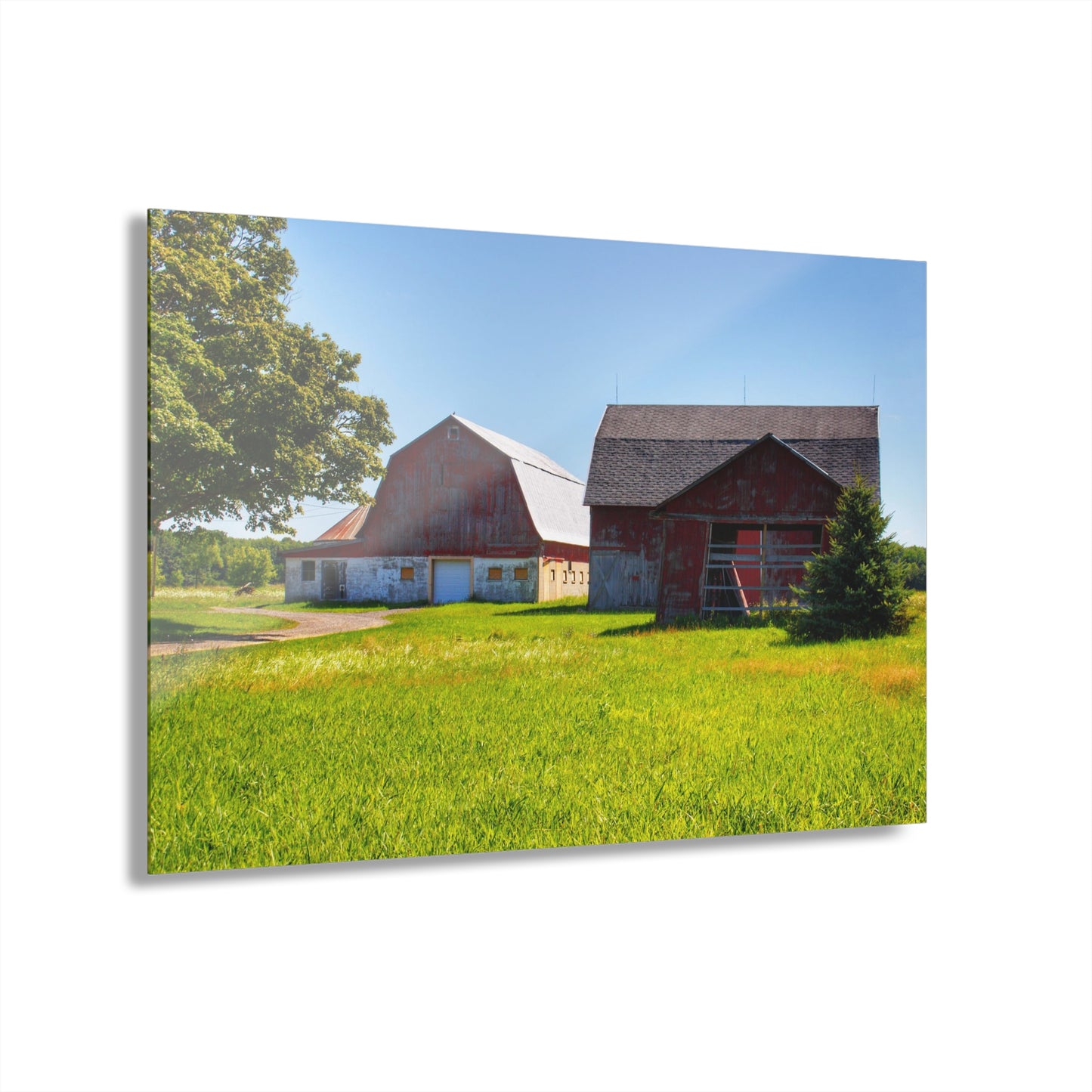 U R There Photography Atwell Road Trio Rustic Farmhouse Acrylic Wall Print