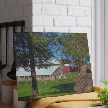U R There Photography Oakwood Road Old Grey Rustic Farmhouse Tempered-Glass Cutting Board