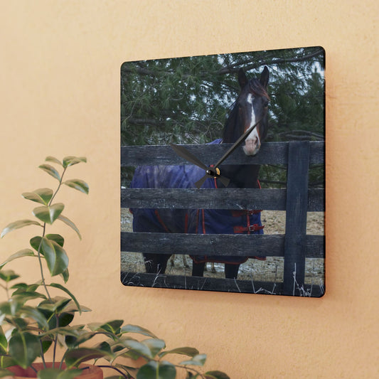 U R There Photography Hosner Road Chestnut Rustic Farmhouse Acrylic Analog Wall Clock