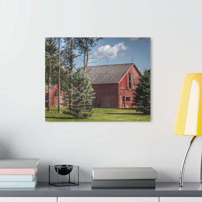 U R There Photography Havens Road Red Among the Pines Rustic Farmhouse Acrylic Wall Print