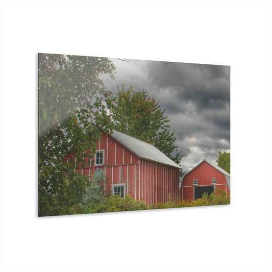 U R There Photography Pinstripe Barn and Buddy I Rustic Farmhouse Acrylic Wall Print
