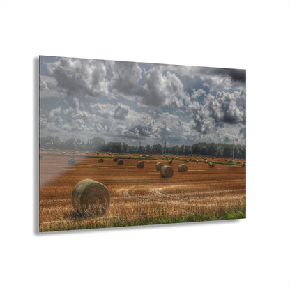 U R There Photography Haybale Heaven Rustic Farmhouse Acrylic Wall Print