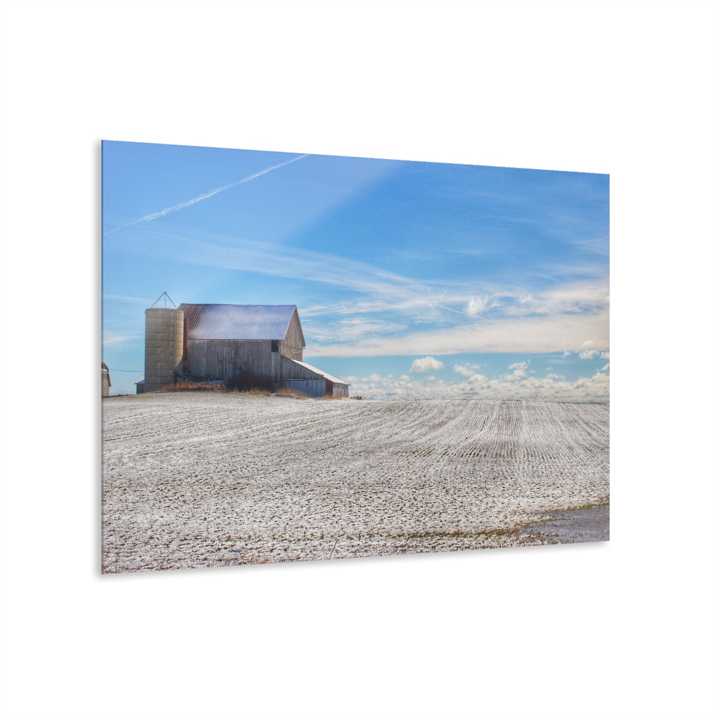 U R There Photography Early Spring Grey II Rustic Farmhouse Acrylic Wall Print