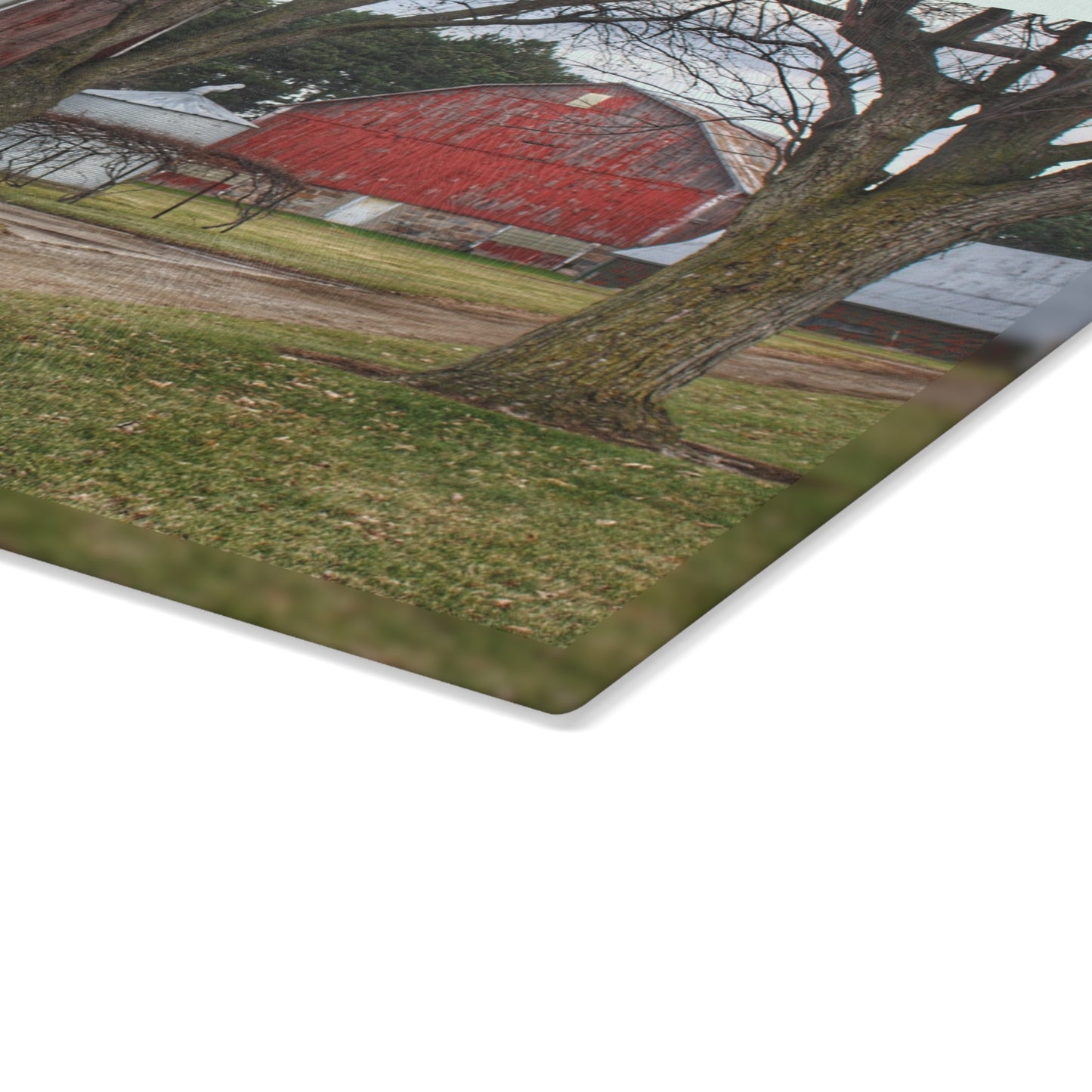 U R There Photography Peck Reds Rustic Farmhouse Tempered-Glass Cutting Board 8"x 11"