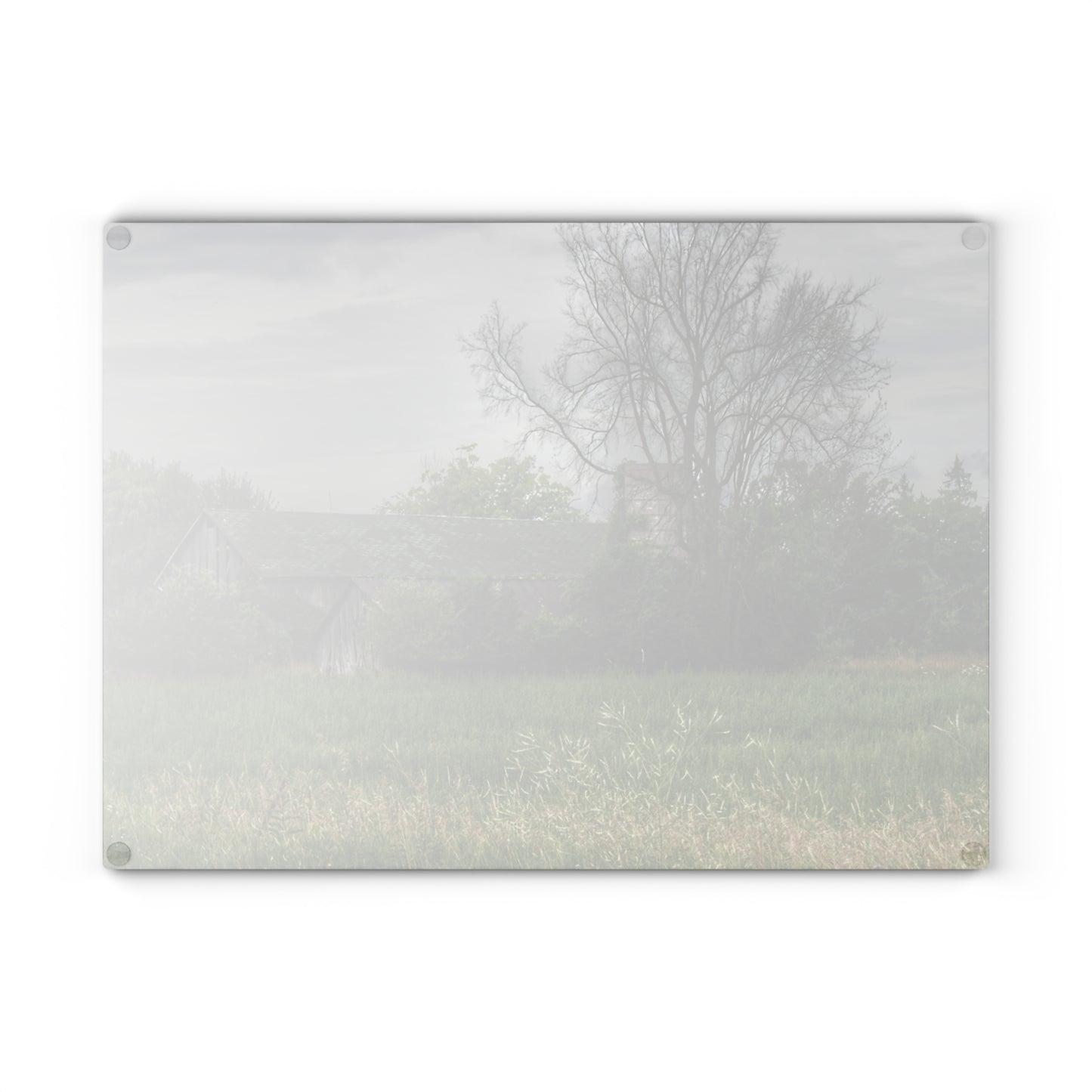 U R There Photography Wilder Road Grey III Rustic Farmhouse Tempered-Glass Cutting Board