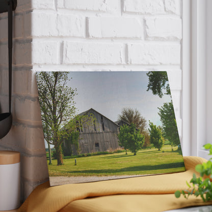 U R There Photography Caro Road Twin Greys II Rustic Farmhouse Tempered-Glass Cutting Board