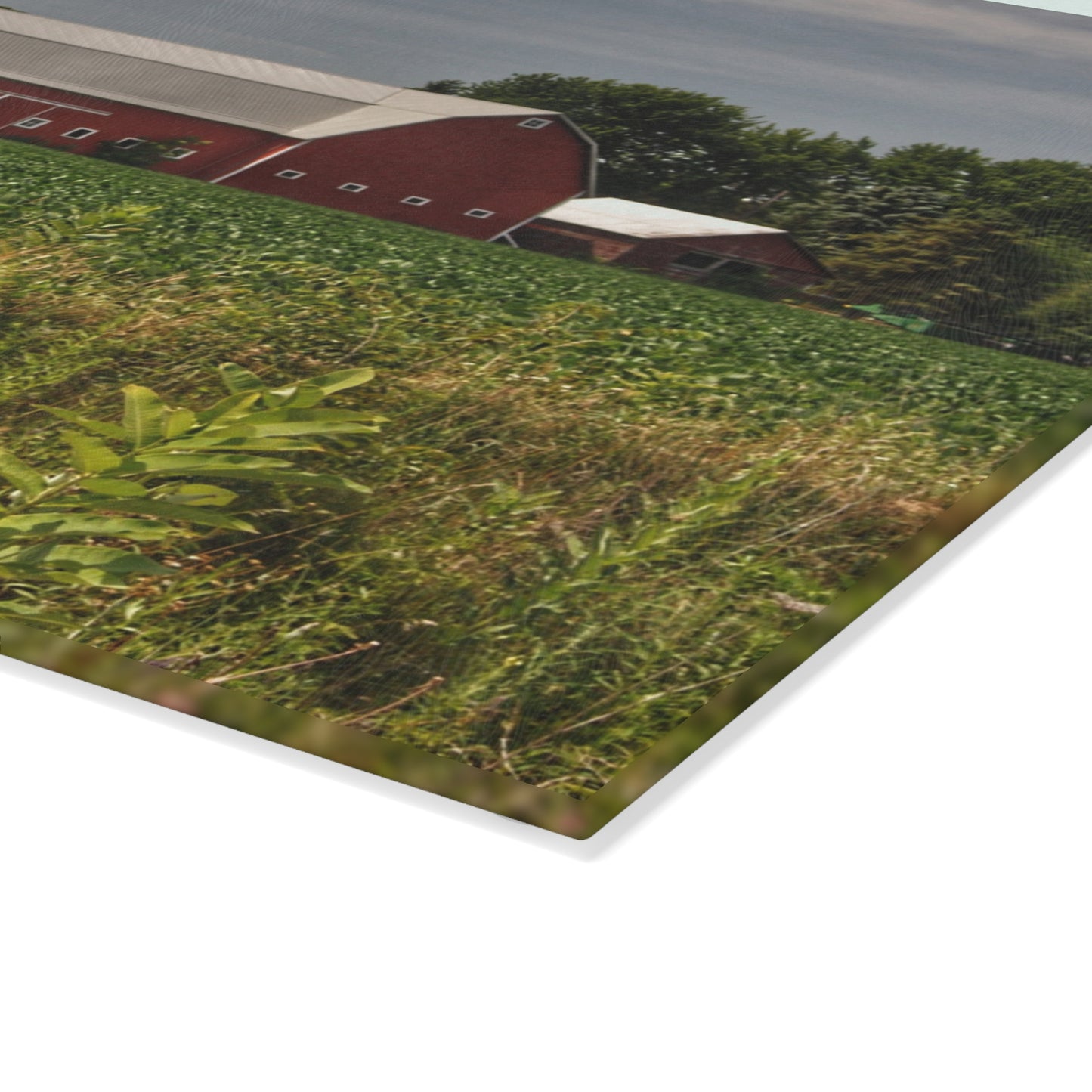 U R There Photography Townline Road Red Rustic Farmhouse Tempered-Glass Cutting Board