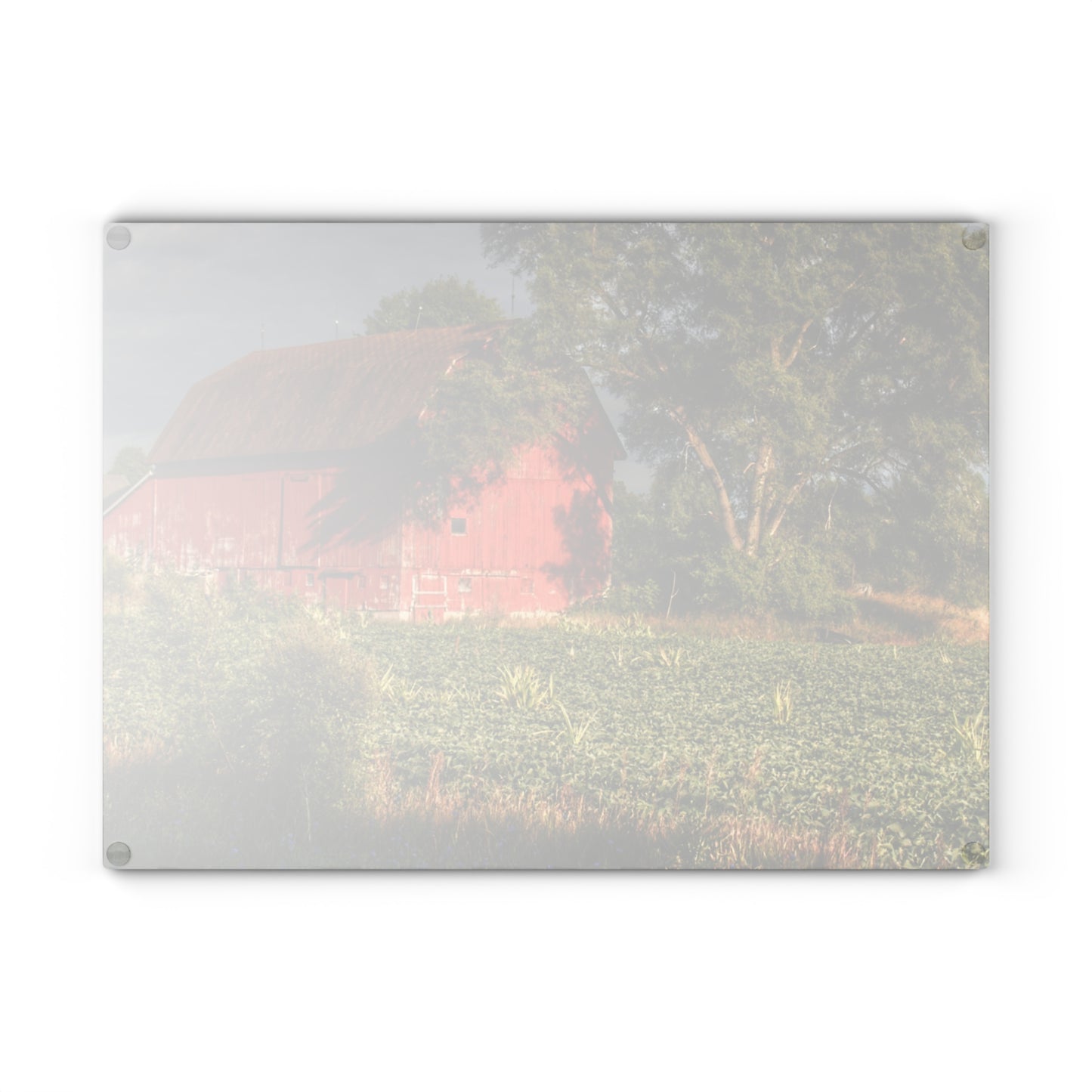U R There Photography Genesee Road Red II Rustic Farmhouse Tempered-Glass Cutting Board