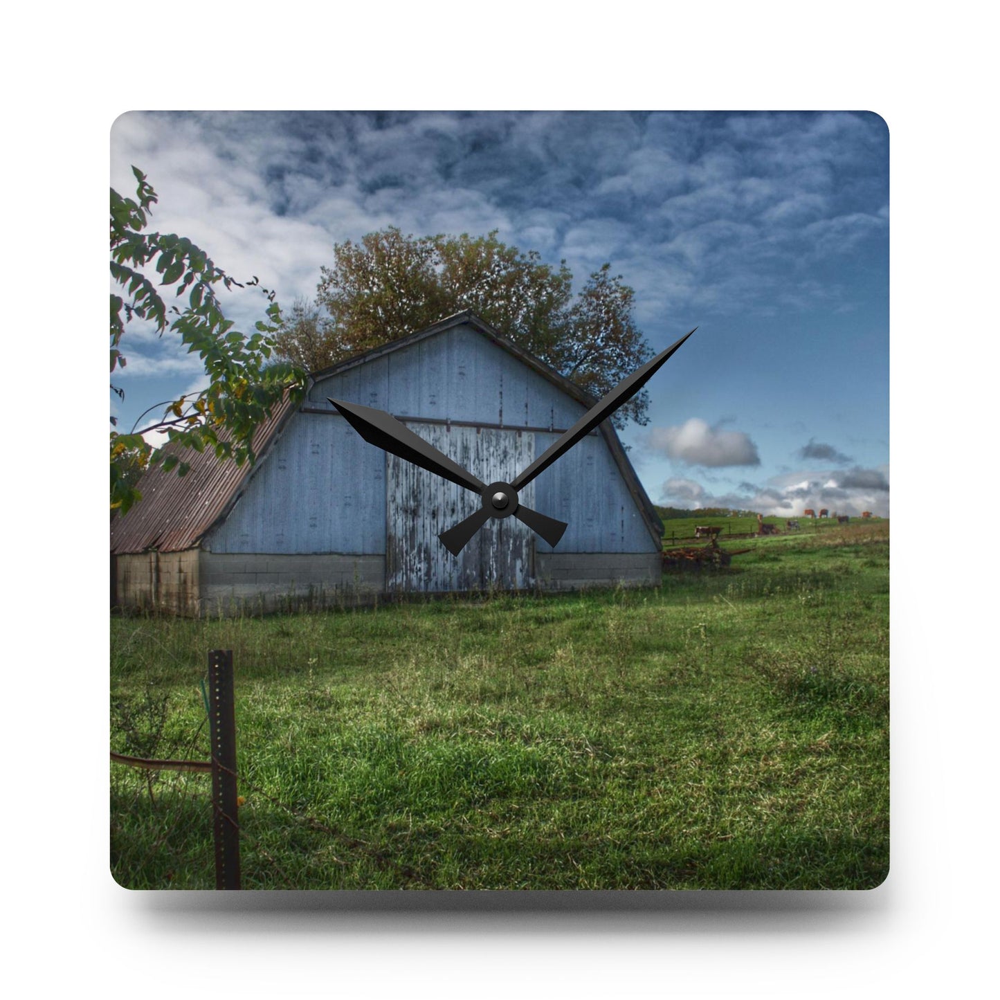 U R There Photography East Frances Quonset and Cows Rustic Farmhouse Acrylic Analog Wall Clock