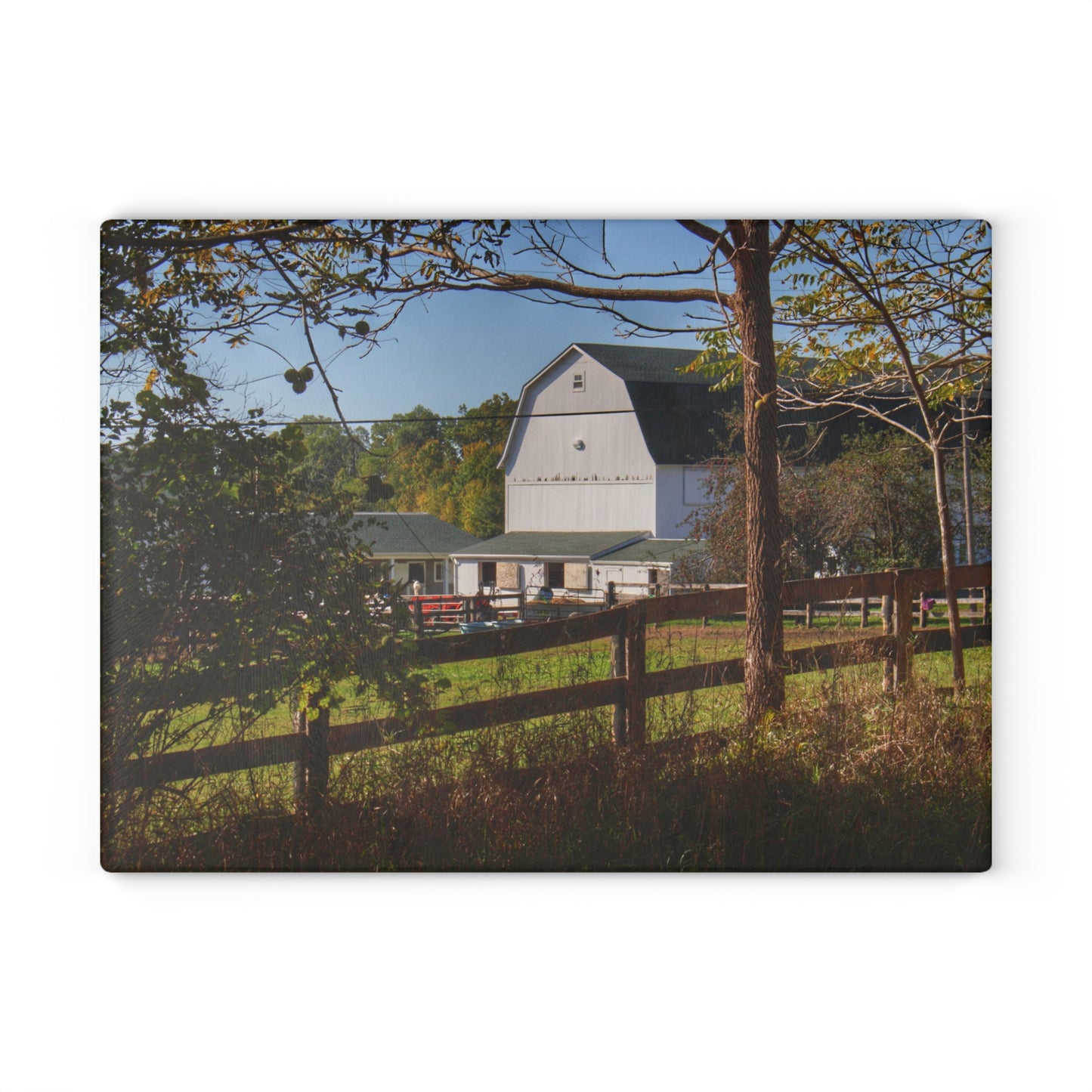 U R There Photography Oakwood Road White I Rustic Farmhouse Tempered-Glass Cutting Board