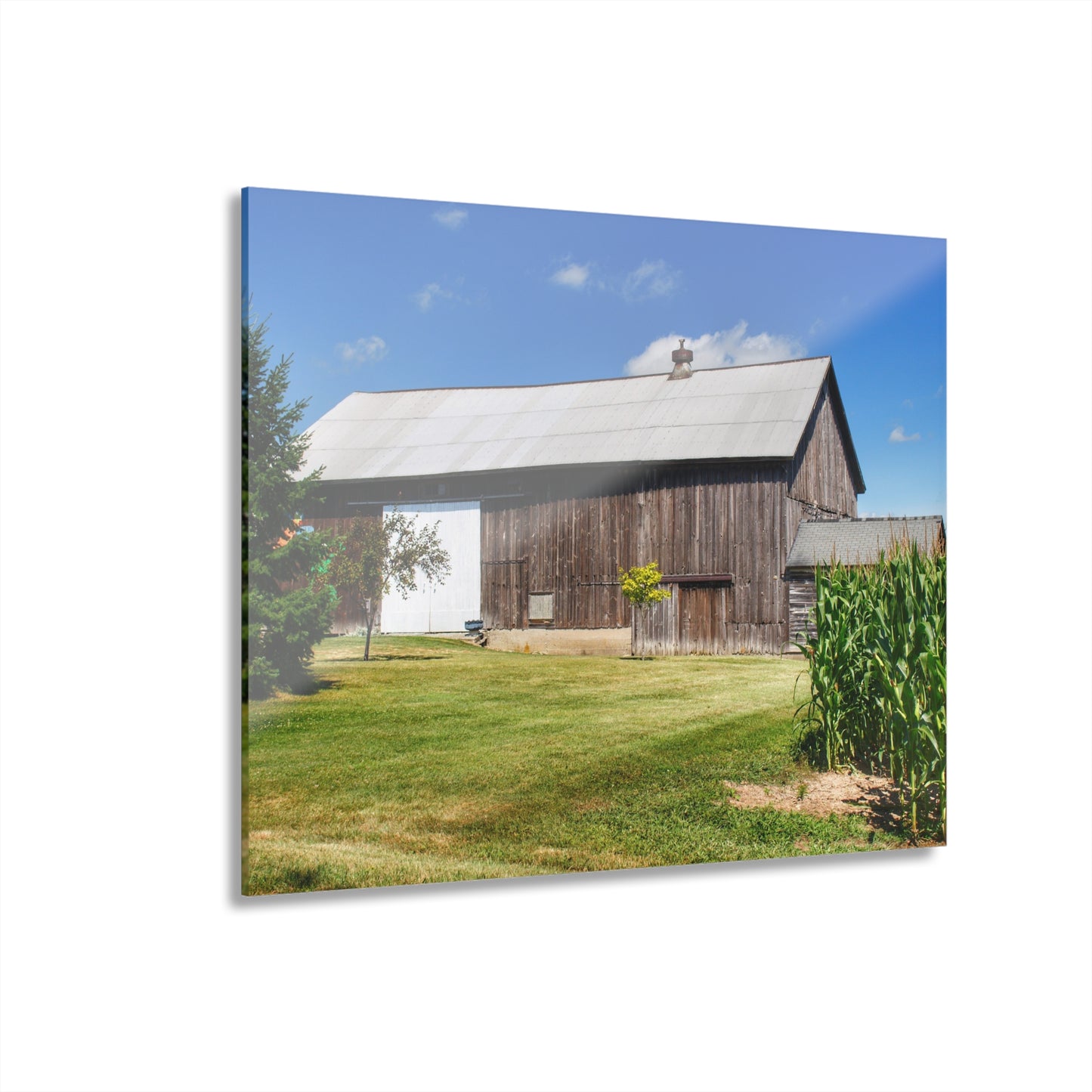 U R There Photography Frog Barn Rustic Farmhouse Acrylic Wall Print