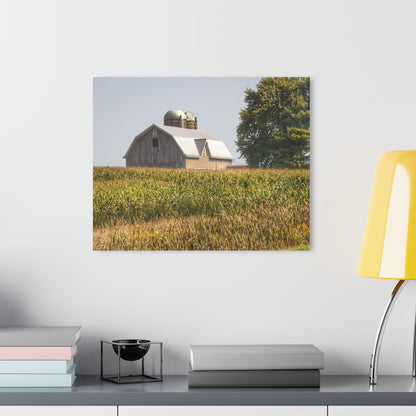 U R There Photography Beyond the September Corn on Swaffer Rustic Farmhouse Acrylic Wall Print