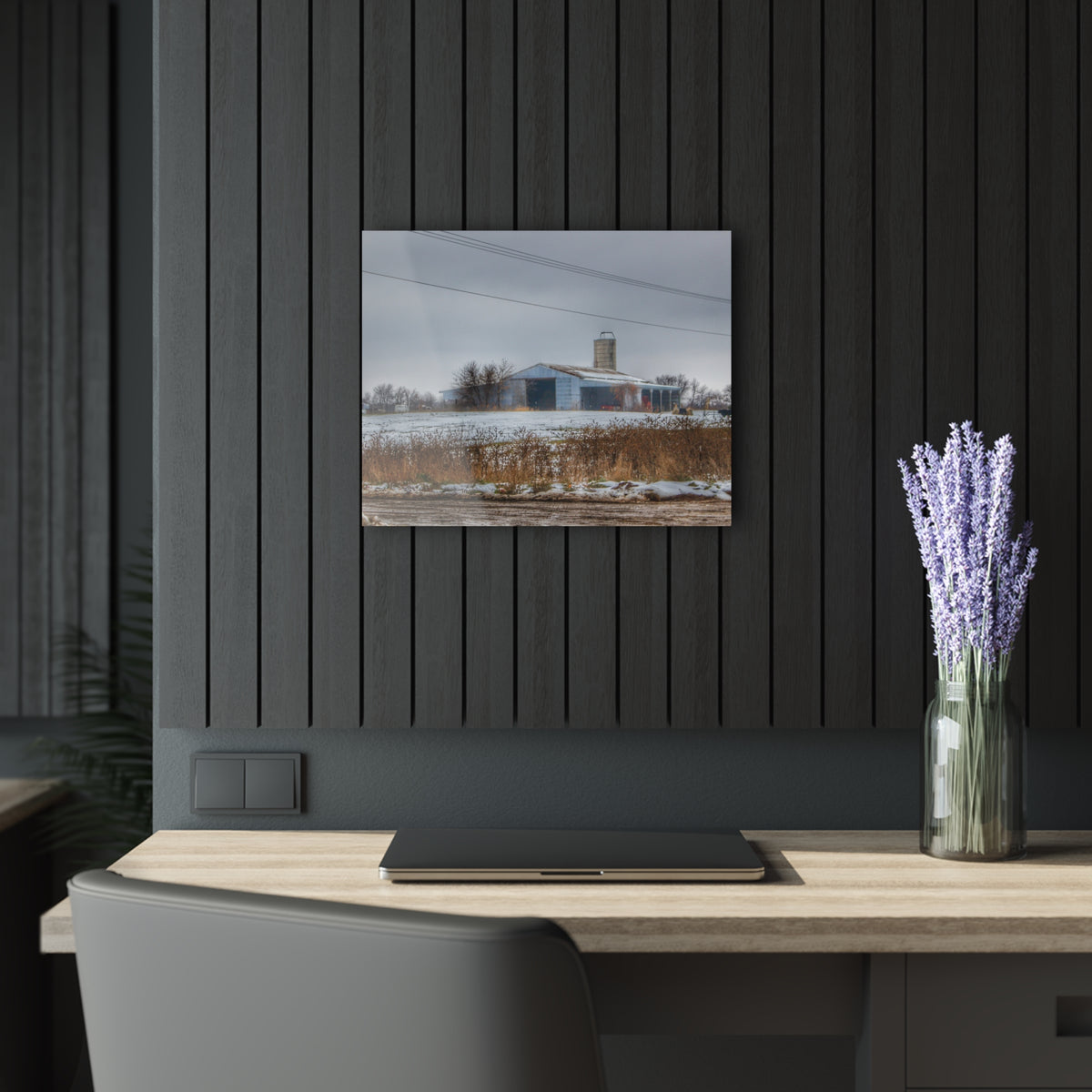 Noble Road Blue Cow Barn | Wall Prints 20″ x 16″ (Horizontal) 0.25''