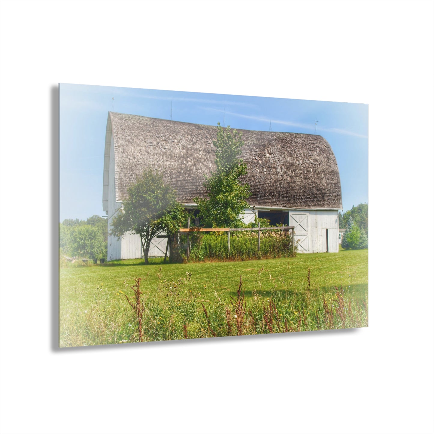 U R There Photography Country White Rustic Farmhouse Acrylic Wall Print