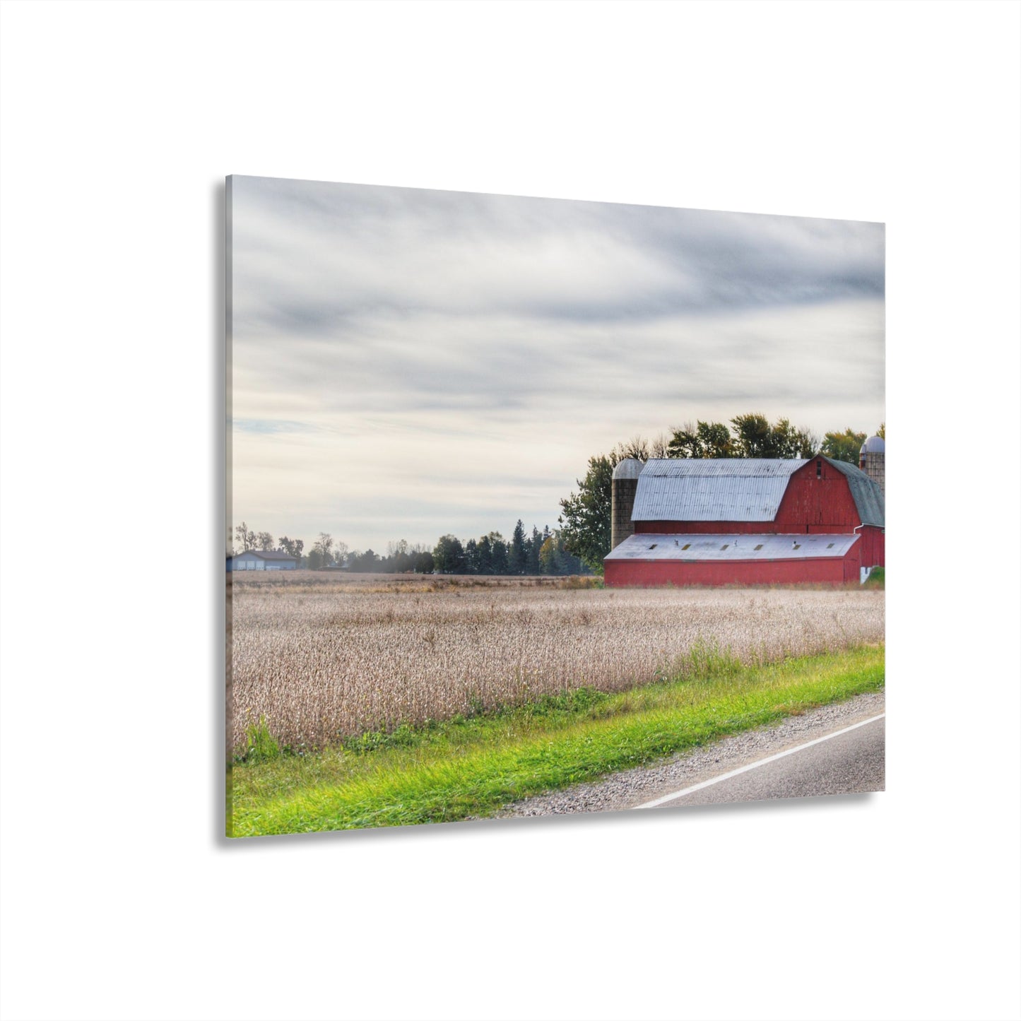 U R There Photography Brown City Red II Rustic Farmhouse Acrylic Wall Print