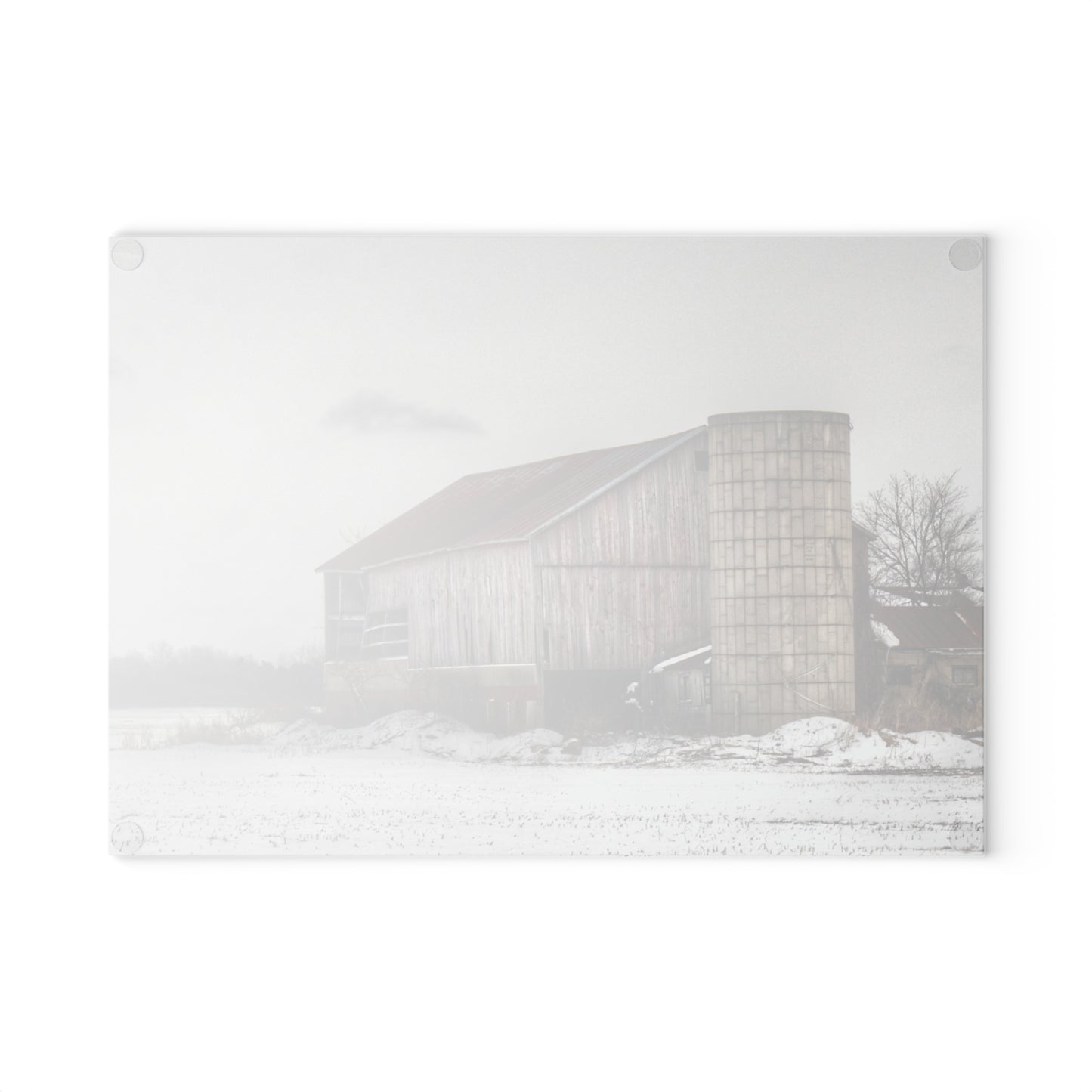 U R There Photography Babcock Road Grey Rustic Farmhouse Tempered-Glass Cutting Board