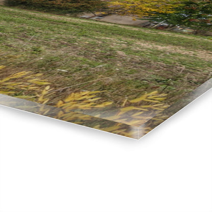 U R There Photography Elmwood Road Red II Rustic Farmhouse Acrylic Wall Print