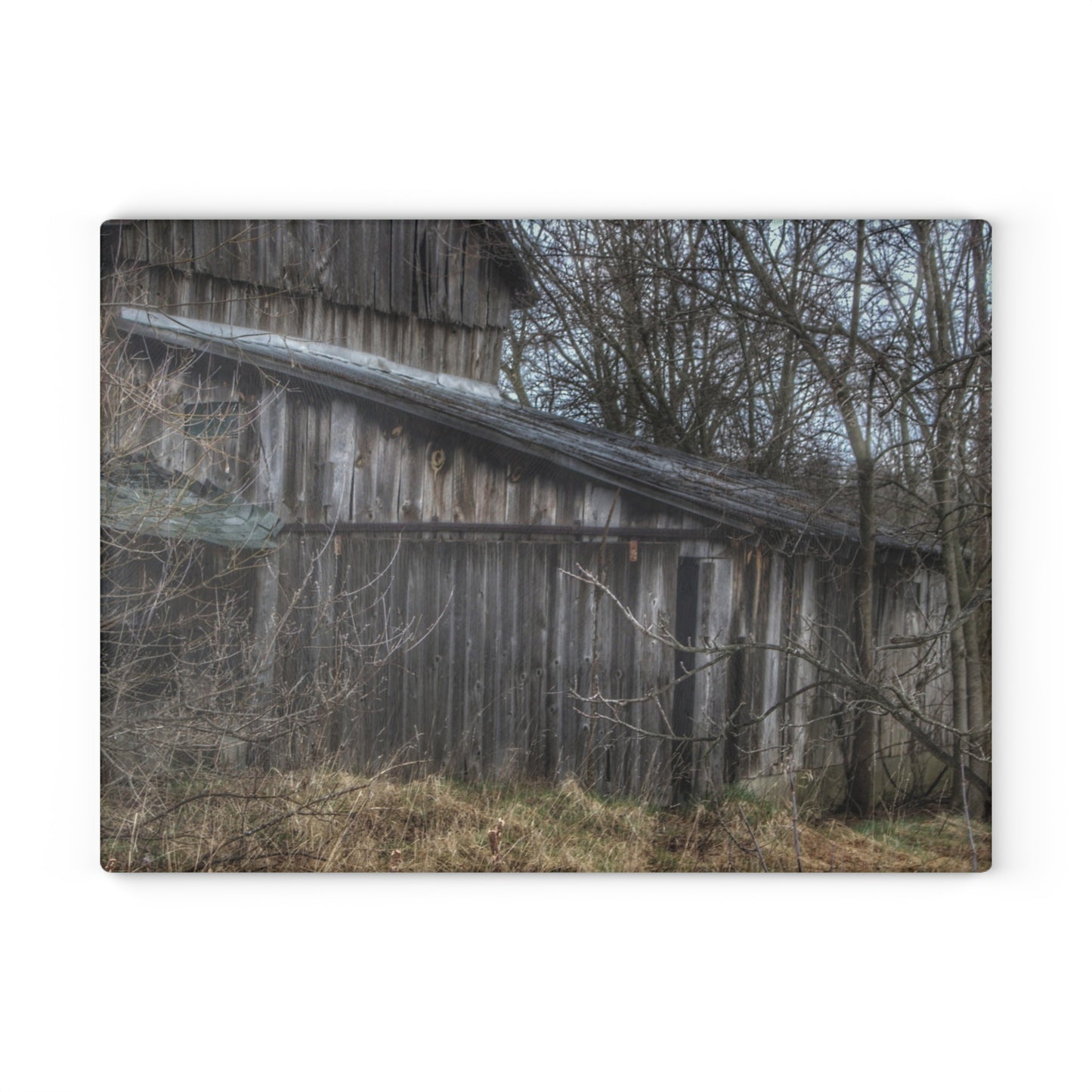 U R There Photography Rural Decay in Early Spring Rustic Farmhouse Tempered-Glass Cutting Board