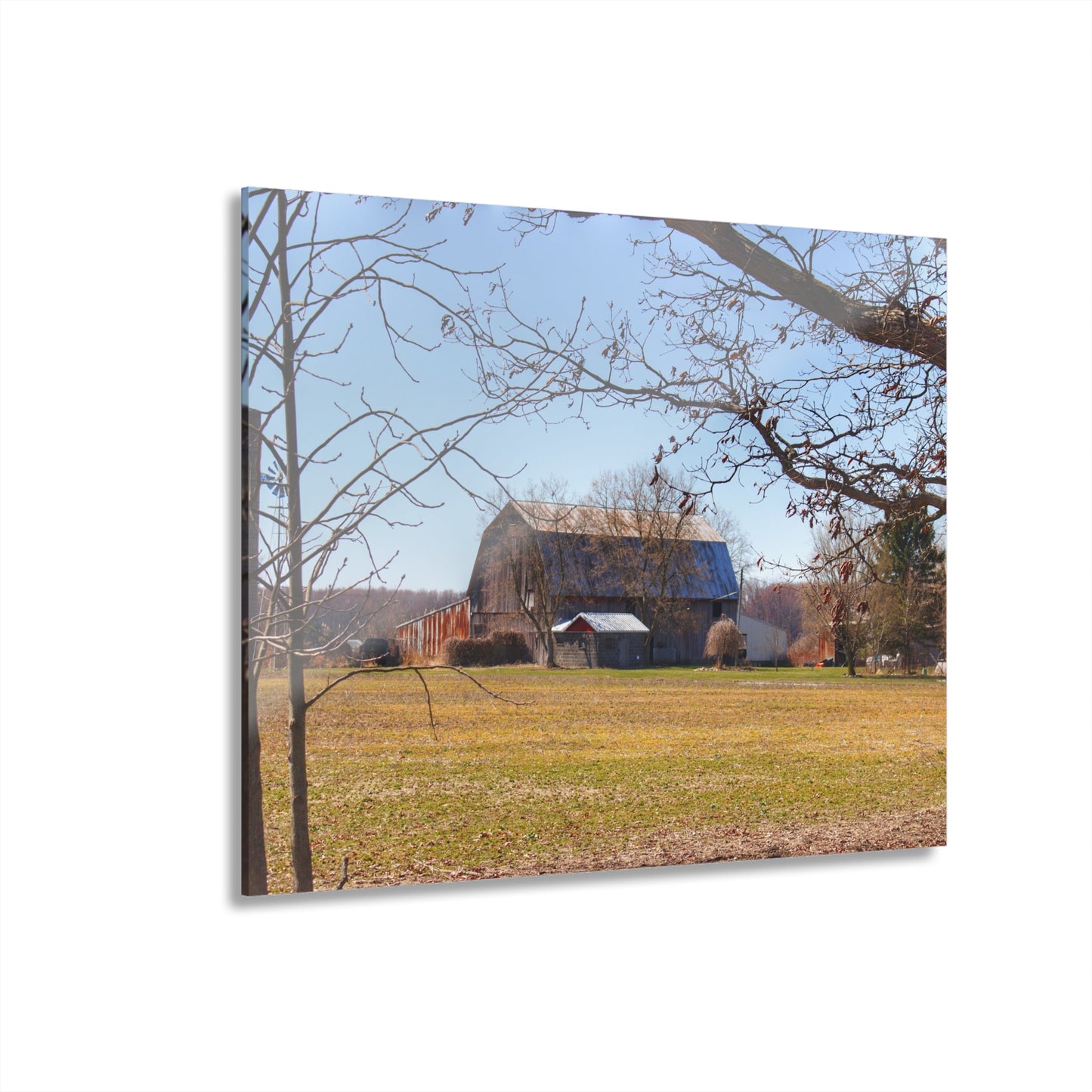 U R There Photography Rider Road Greys Rustic Farmhouse Acrylic Wall Print