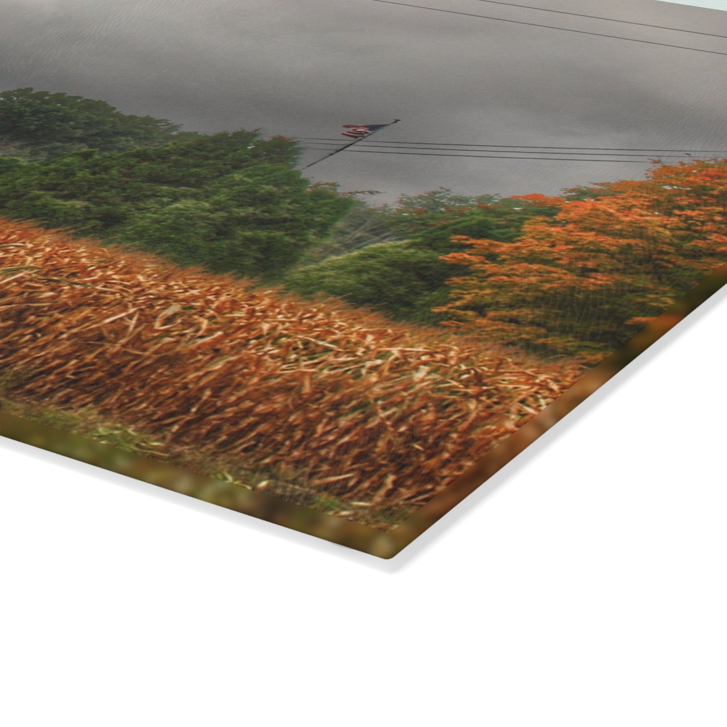 U R There Photography Saginaw Road White Rustic Farmhouse Tempered-Glass Cutting Board
