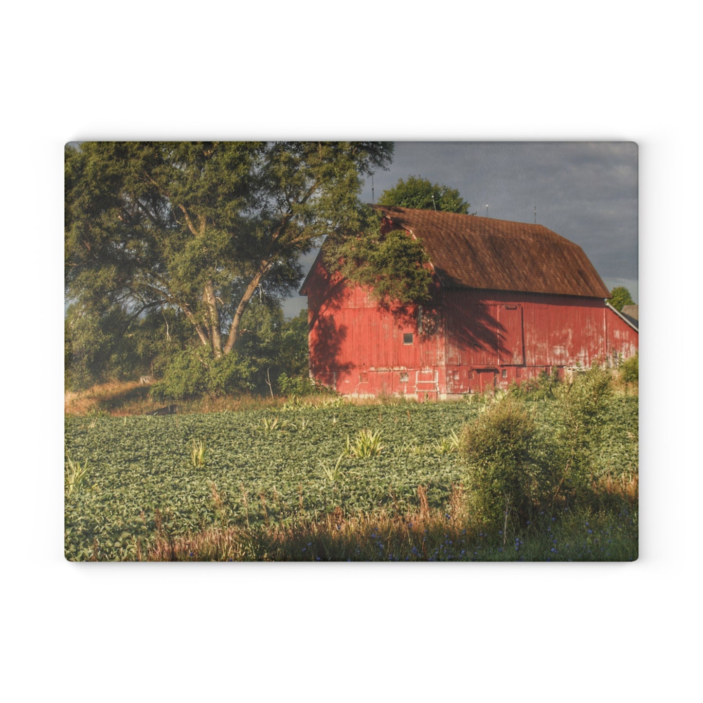 U R There Photography Genesee Road Red II Rustic Farmhouse Tempered-Glass Cutting Board