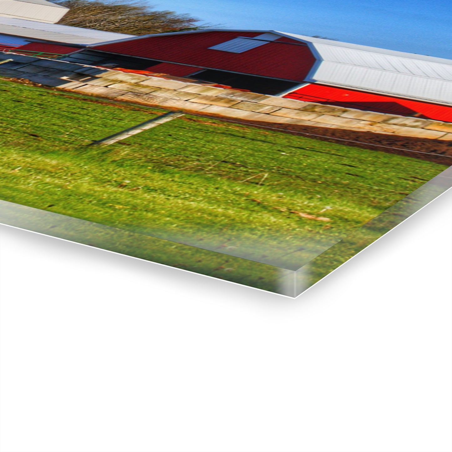 U R There Photography M-15 Reds Rustic Farmhouse Acrylic Wall Print