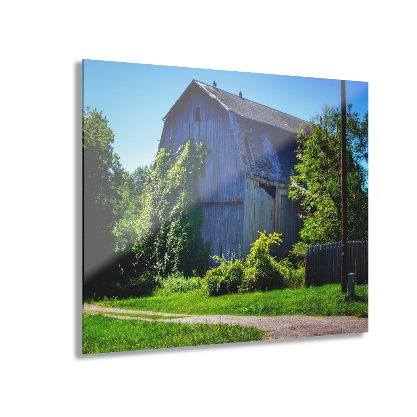 U R There Photography Dryden Road Grey Rustic Farmhouse Acrylic Wall Print