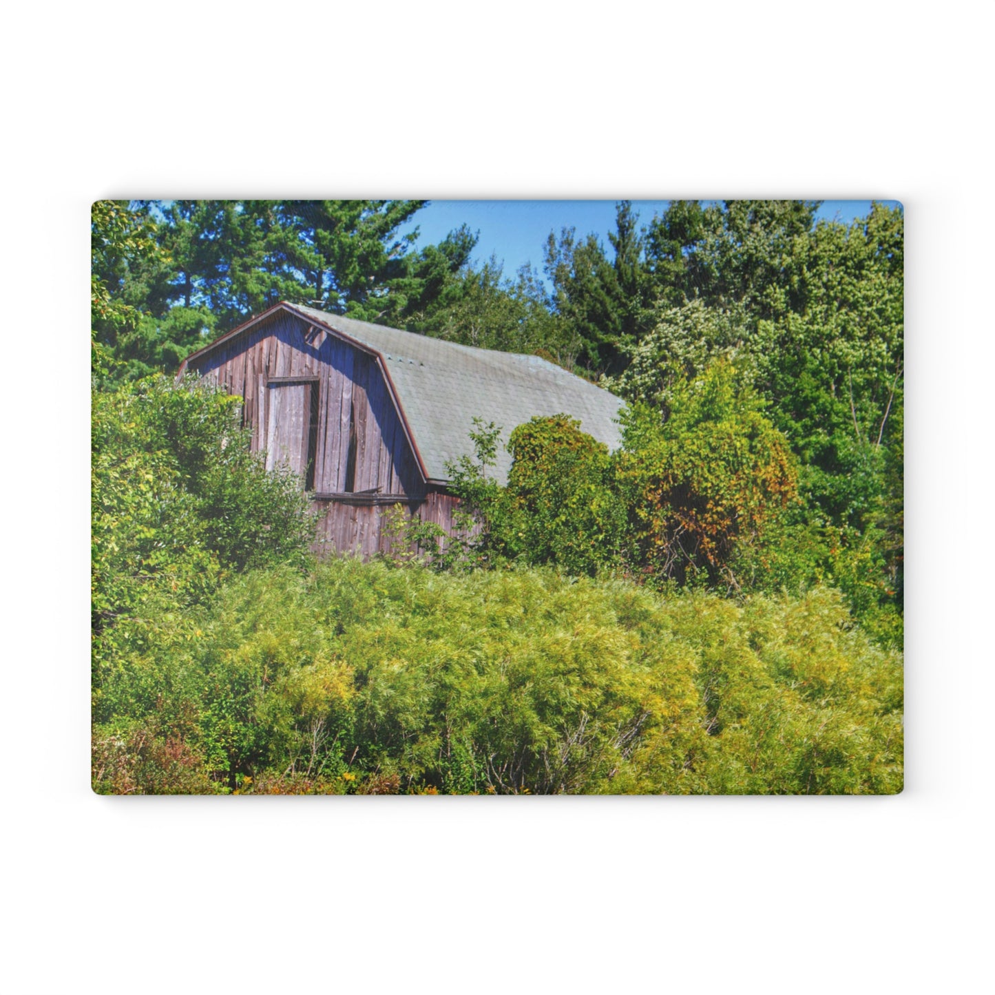 U R There Photography Saginaw Road Hidden Grey Rustic Farmhouse Tempered-Glass Cutting Board