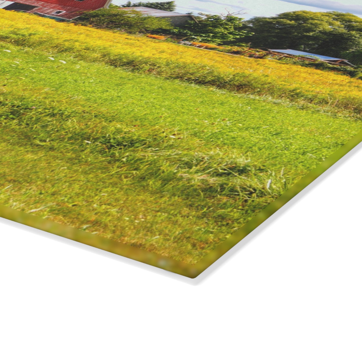 U R There Photography Starr Court Red I Rustic Farmhouse Tempered-Glass Cutting Board