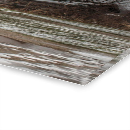 Wilder Road Grey in Spring Rustic Farmhouse Acrylic Wall Print