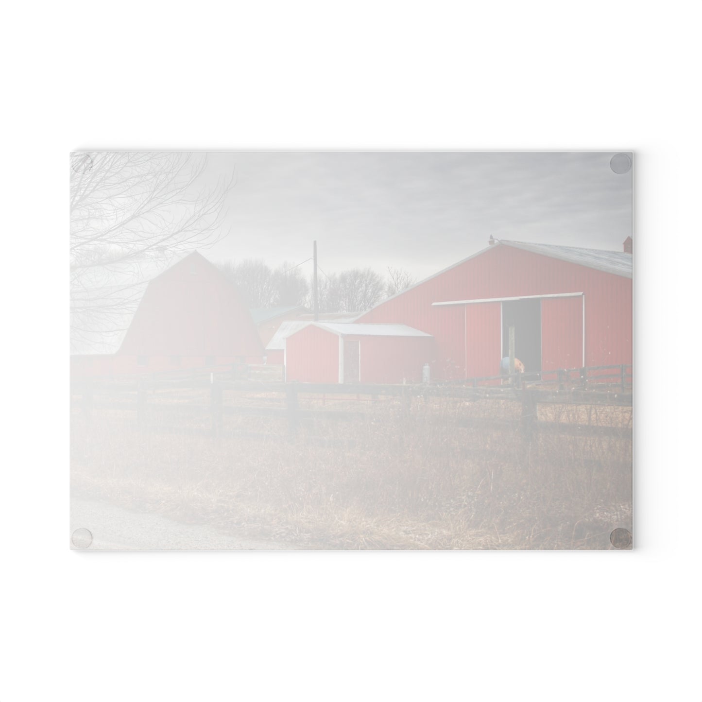 U R There Photography January Reds Rustic Farmhouse Tempered-Glass Cutting Board