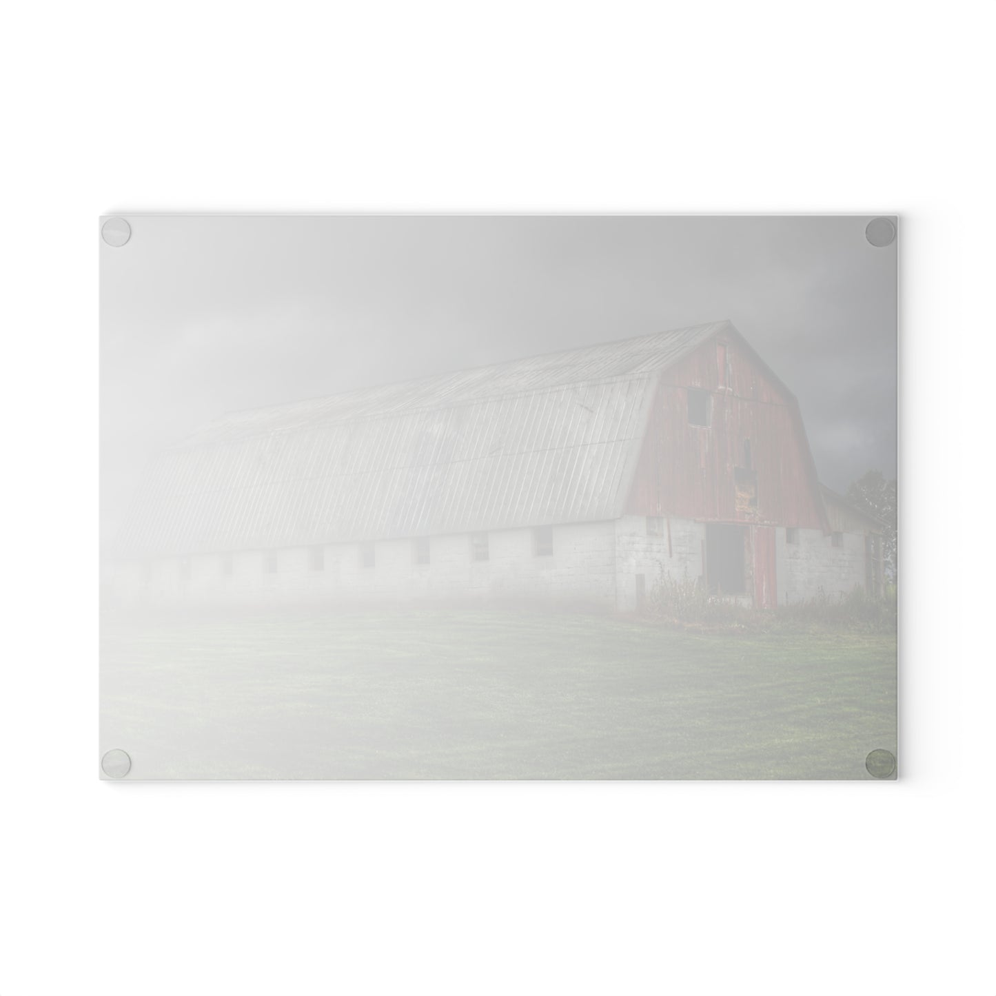 U R There Photography Peters Red Appaloosa II Rustic Farmhouse Acrylic Wall Print
