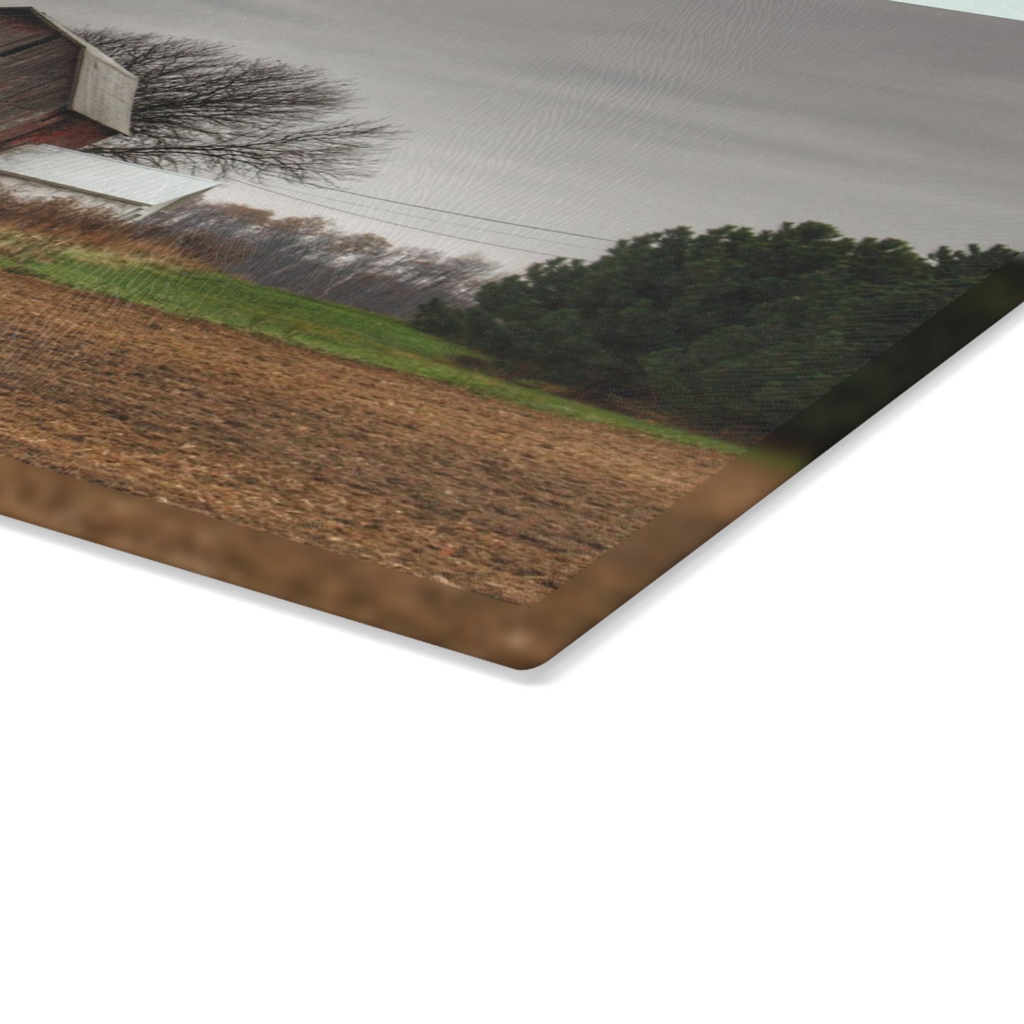 U R There Photography Reinelt Road Red Rustic Farmhouse Tempered-Glass Cutting Board 8"x 11"