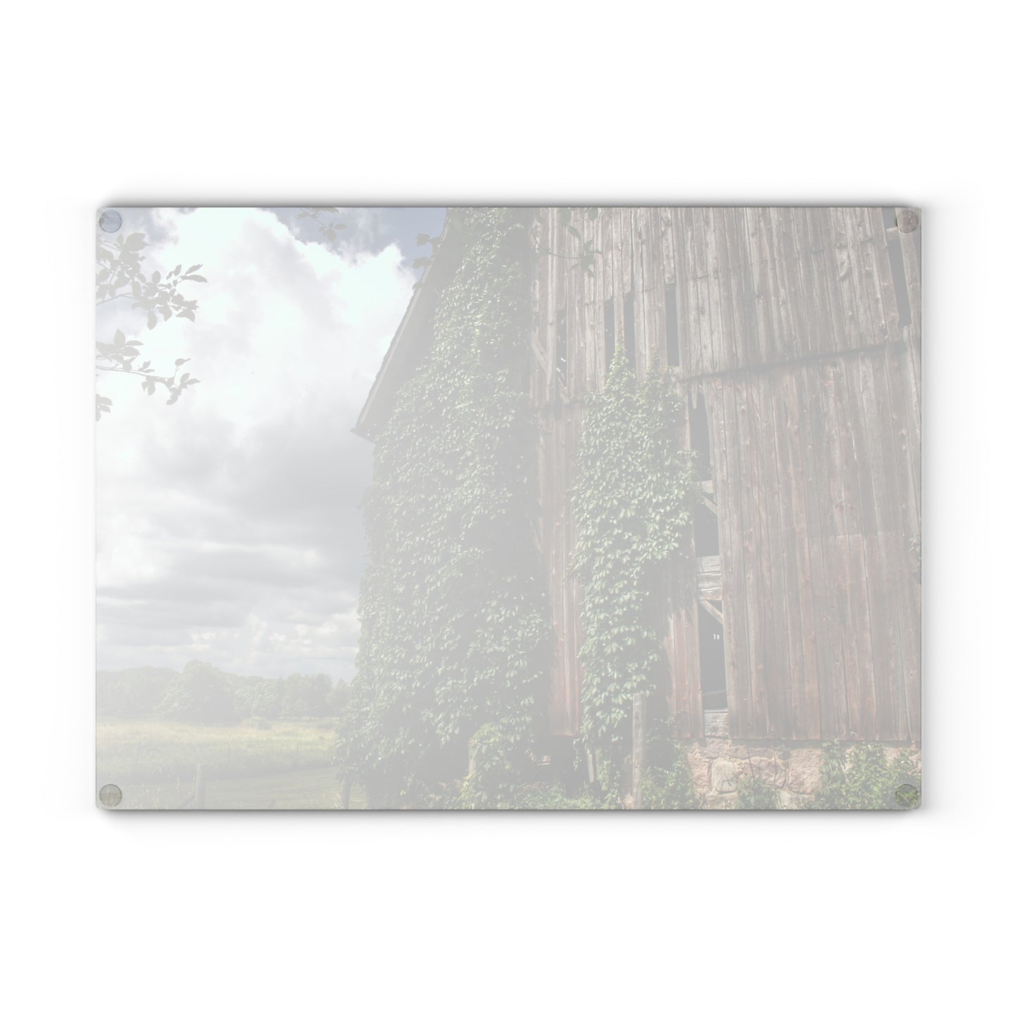 U R There Photography North Branch Ivy Grey II Rustic Farmhouse Tempered-Glass Cutting Board