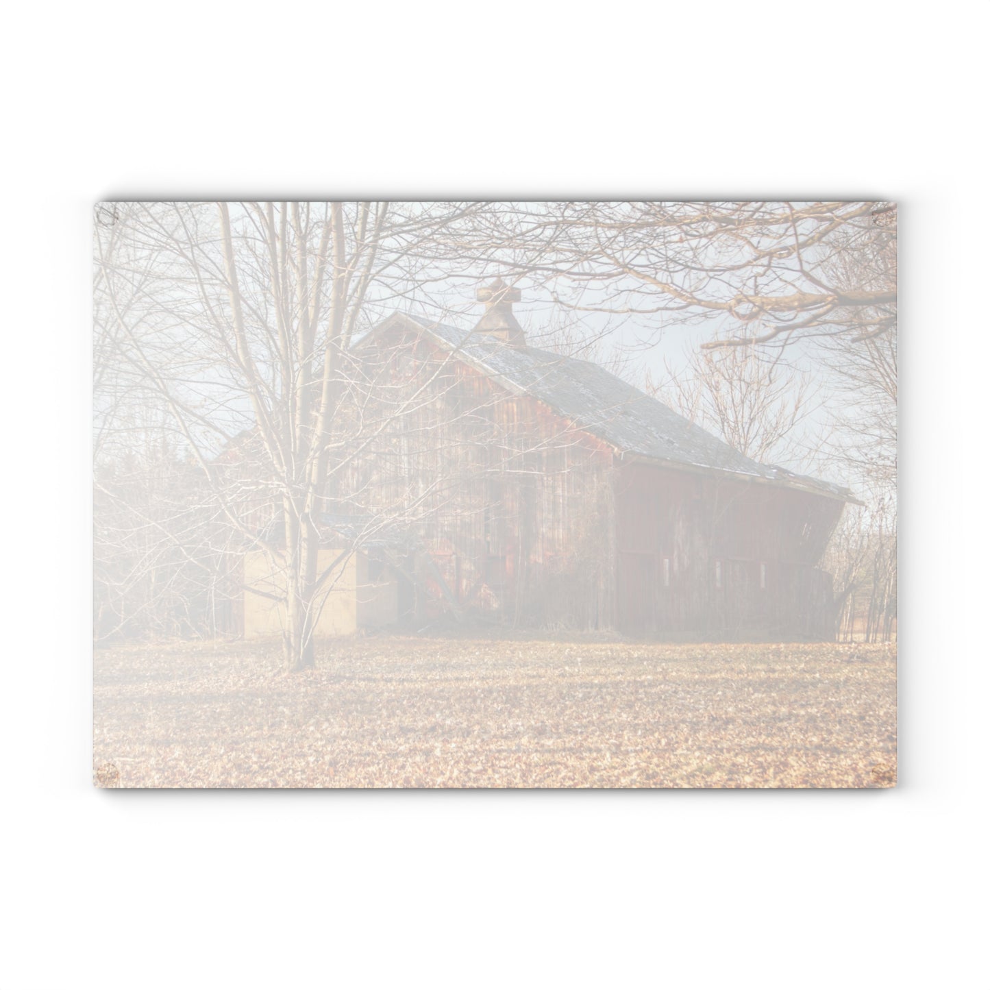 U R There Photography Millington Road Collapsing Red Rustic Farmhouse Tempered-Glass Cutting Board