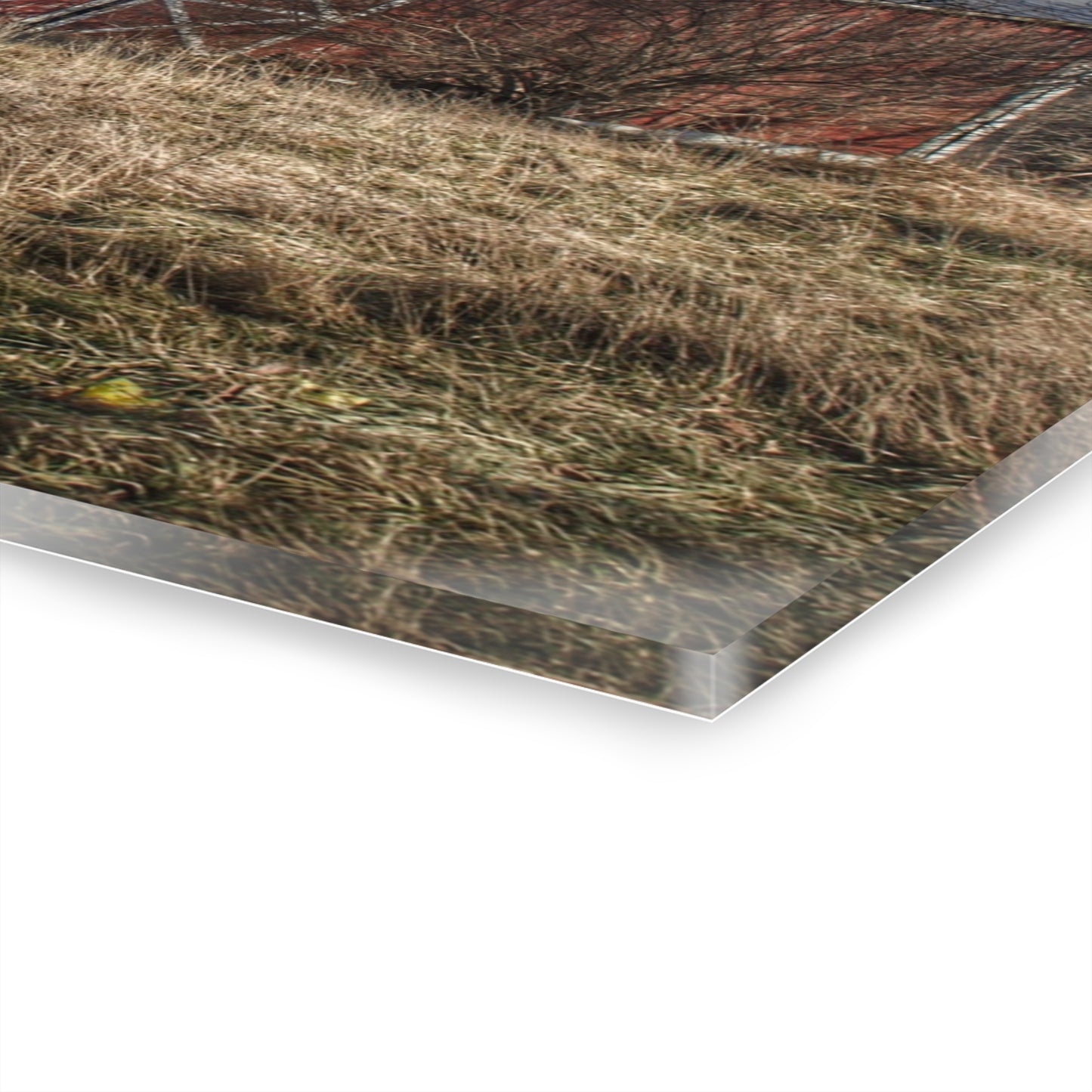 U R There Photography Lapeer Road Crooked Red Rustic Farmhouse Acrylic Wall Print