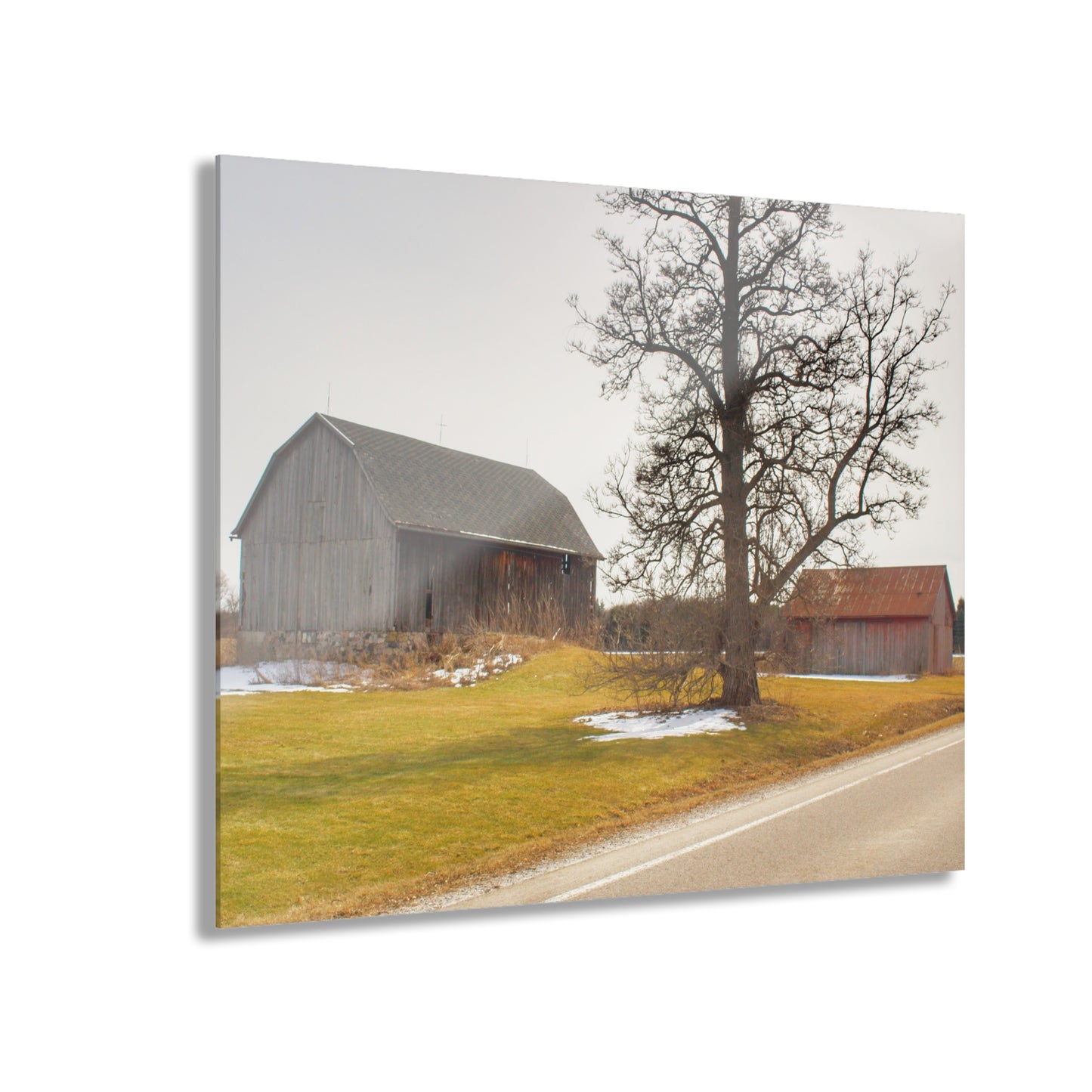 U R There Photography Roadside Greys Rustic Farmhouse Acrylic Wall Print