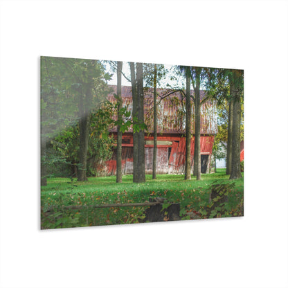 U R There Photography LeValley Falling Red Rustic Farmhouse Acrylic Wall Print
