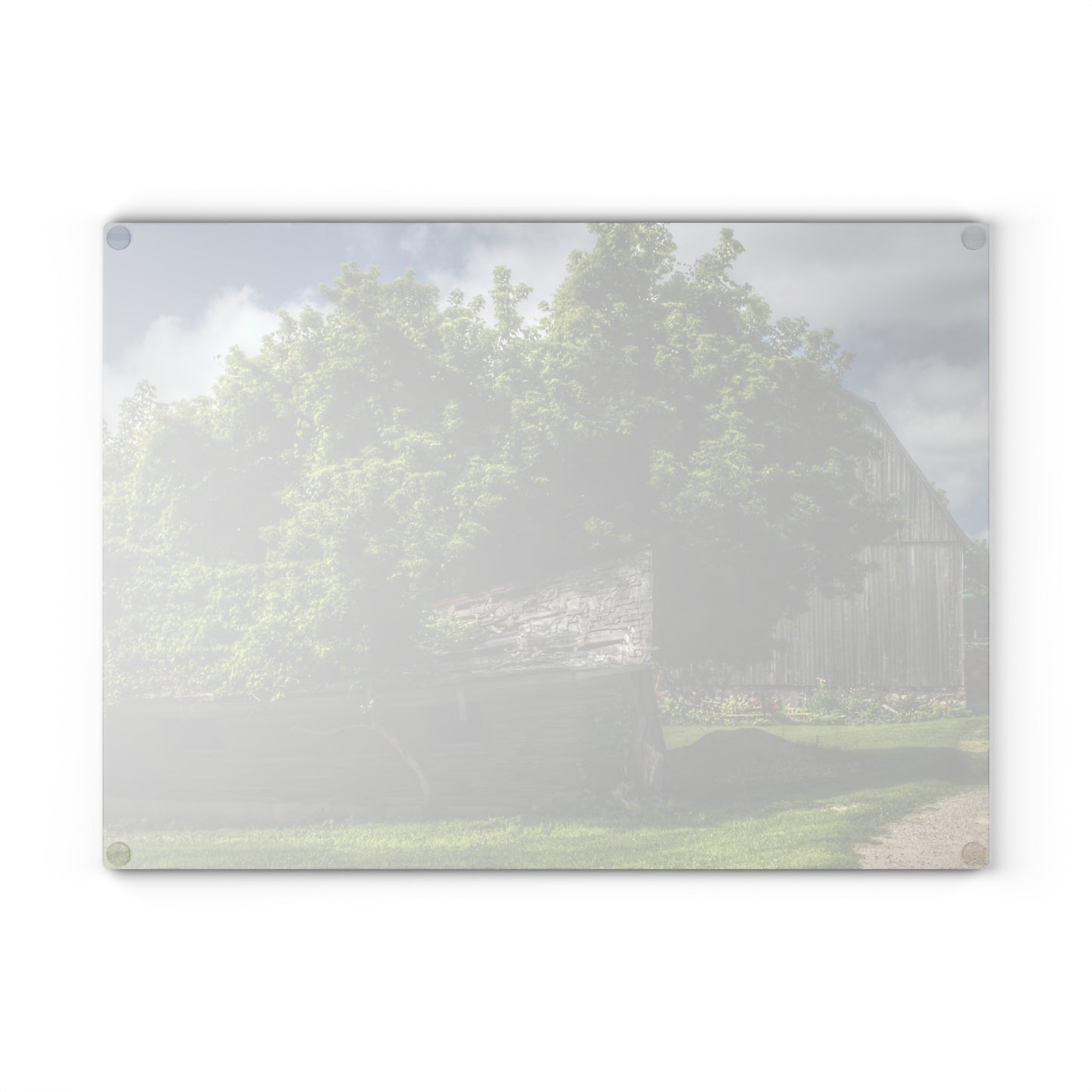 U R There Photography Brown City Road Barn and Buddy I Rustic Farmhouse Tempered-Glass Cutting Board