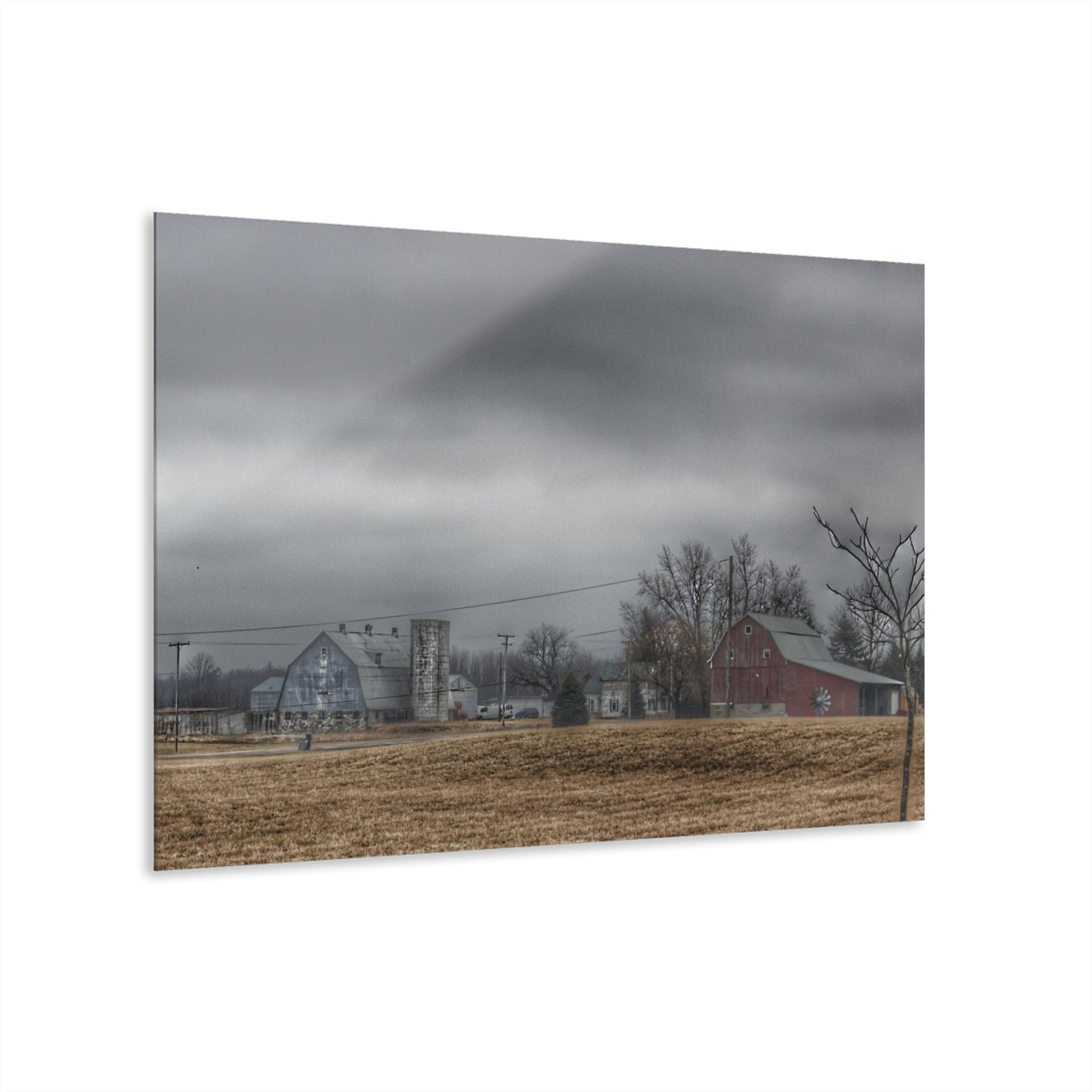 U R There Photography Daley Road Duo Rustic Farmhouse Acrylic Wall Print