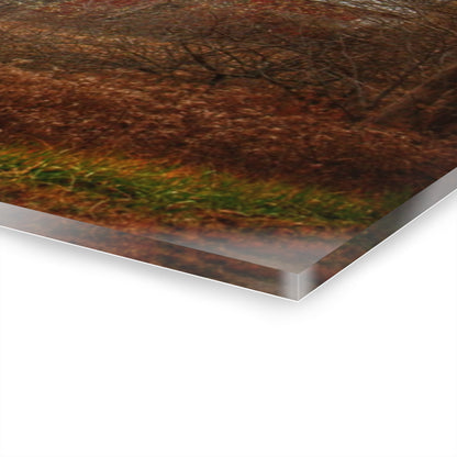 U R There Photography December Fieldstone Red Rustic Farmhouse Acrylic Wall Print