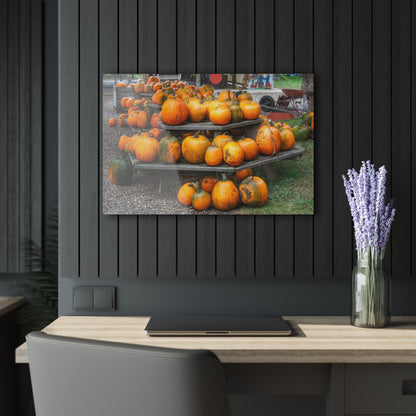 U R There Photography Tabletop Pumpkins Rustic Farmhouse Acrylic Wall Print
